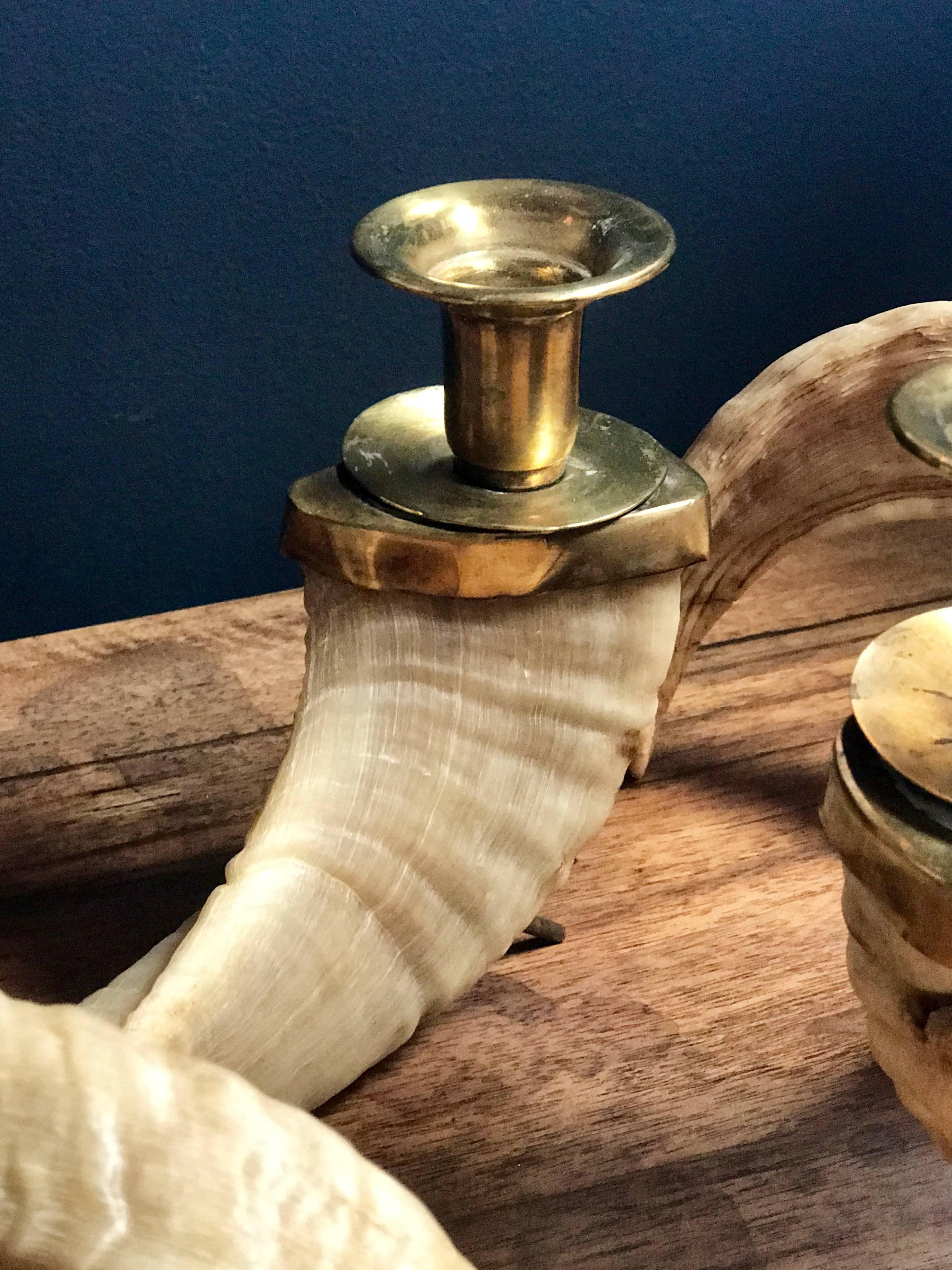 Large Horns Candlestick Holders with Brass In Excellent Condition In Los Angeles, CA