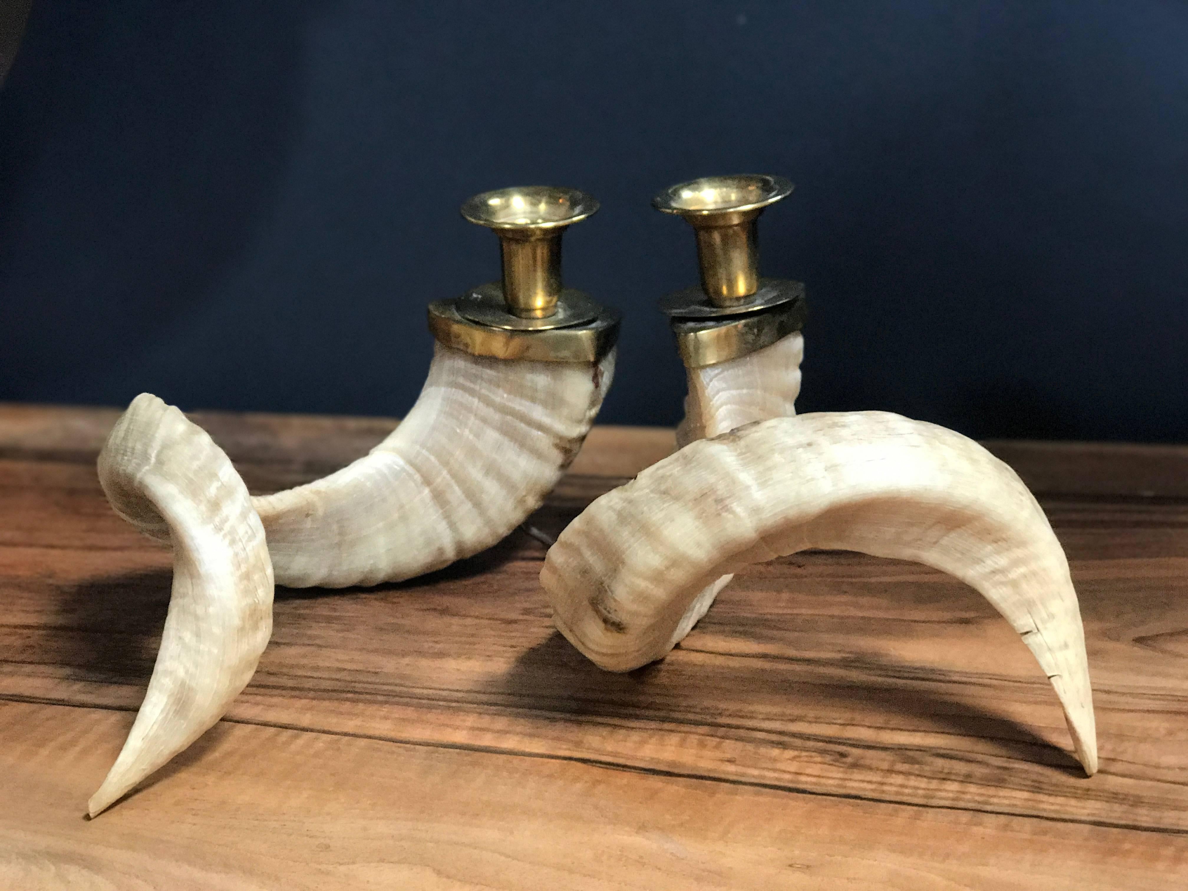Large Horns Candlestick Holders with Brass 1