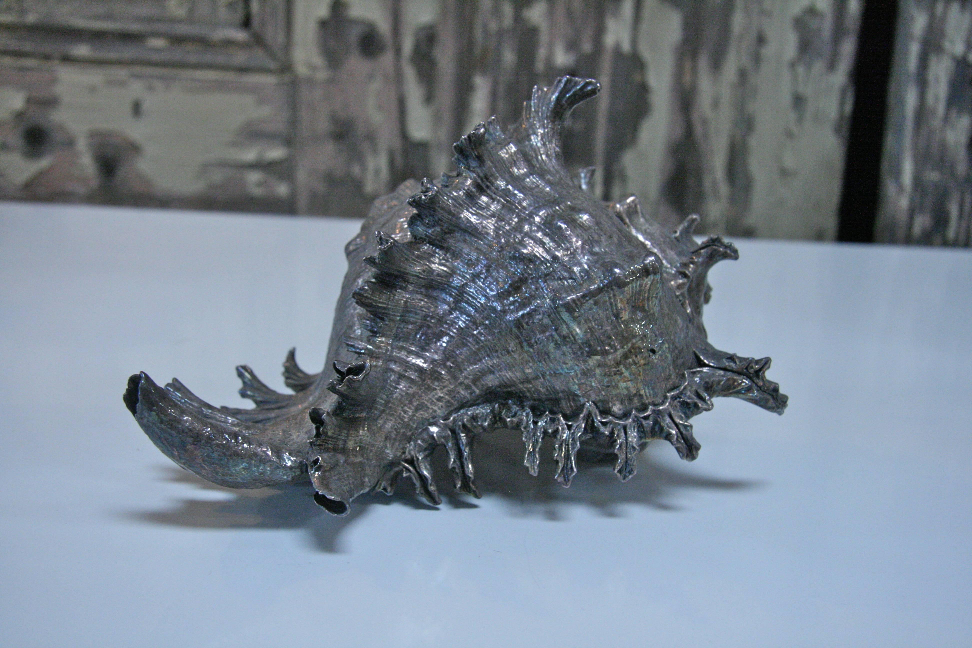 Italian 1960s Pewter Shell In Excellent Condition In Los Angeles, CA