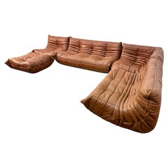 Set of 5 Togo Sofa in Cognac Leather by Michel Ducaroy for Ligne Roset, 1970s