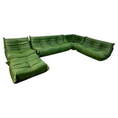 Set of 5 Togo Sofa in Green Leather by Michel Ducaroy for Ligne Roset, 1970s