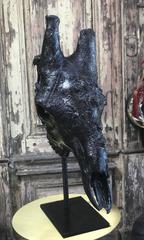 Giraffe Resin Skull with Leather Pedestal