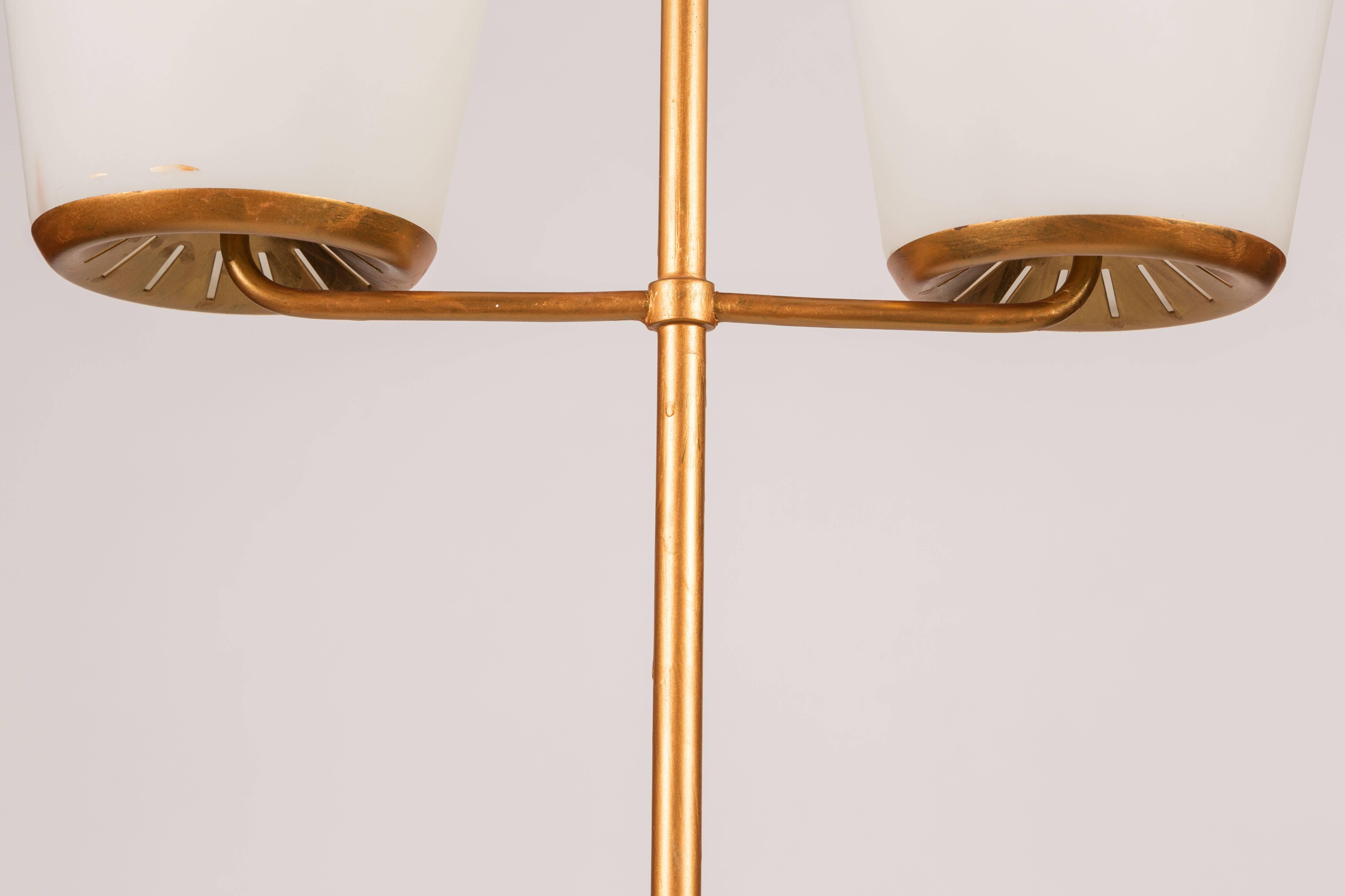 Large Double Shade Floor Lamp by Stilnovo 3