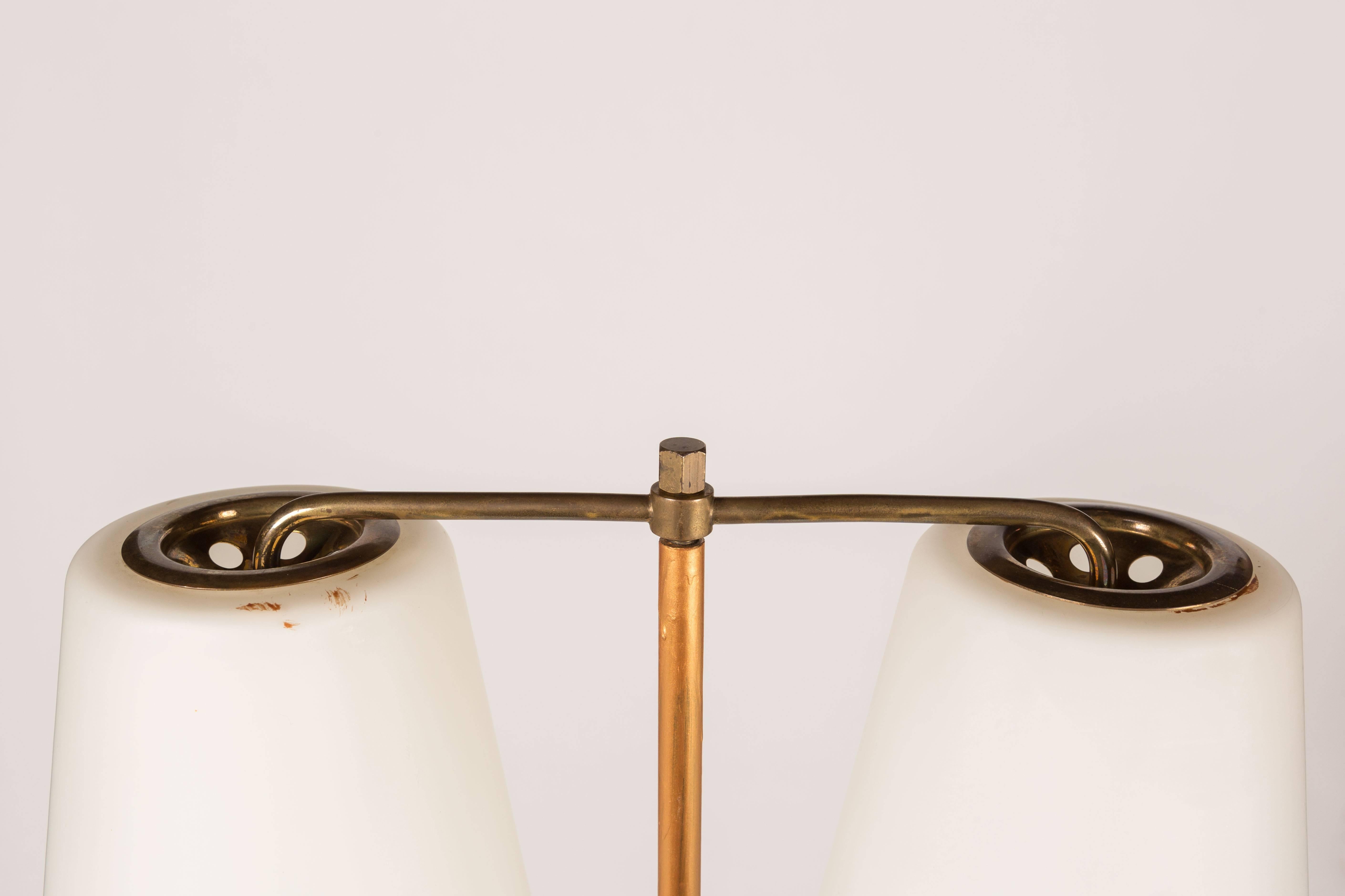 Large Double Shade Floor Lamp by Stilnovo 2