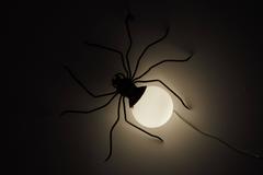 "Spider" Italian Wall Light