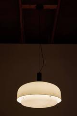 Suspension Light by Eugenio Gentile Tedeschi