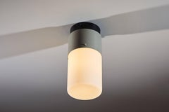 Model 1245 Flush Mount Ceiling Lights by Stilnovo