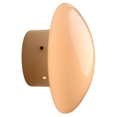 Single 'Boccio 25' Wall or Ceiling Light by Sergio Mazza for Quattrifolio