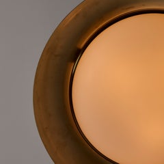 Rare Flushmount by Azucena
