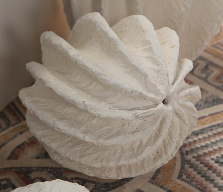 Stoneware Joann Patterson Scallop Sculptures