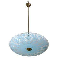 Italian Vintage Floral Glass and Brass Pendant Chandelier, Mid-Century, 2 Lights
