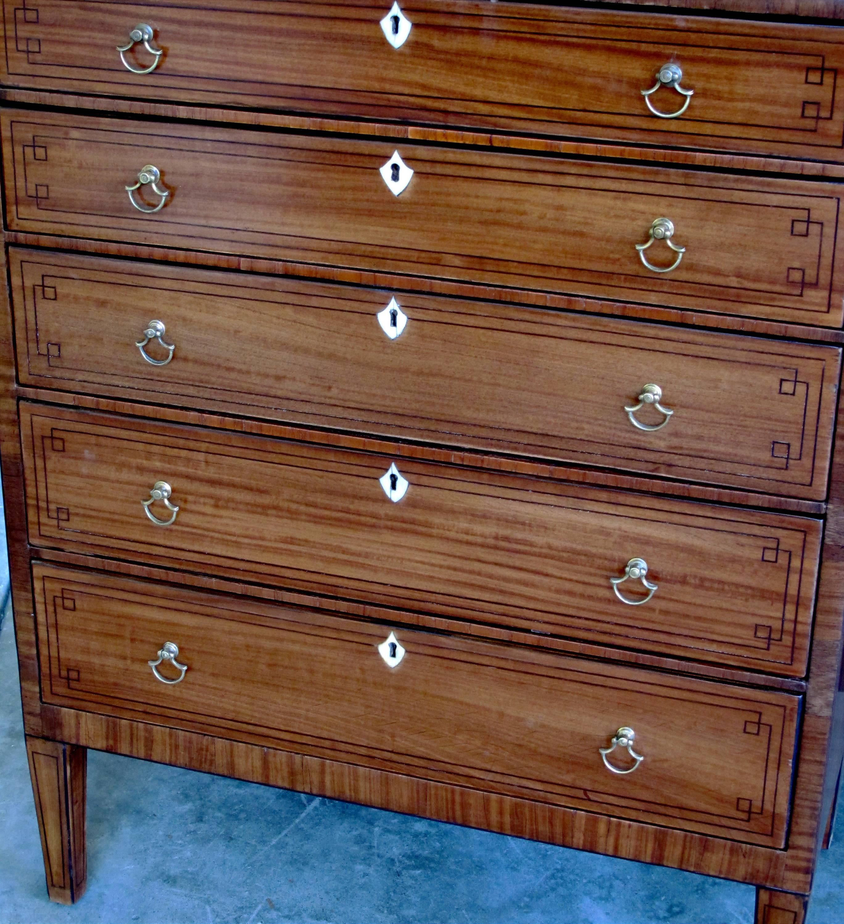 Early 20th Century Tailored Pair of English Edwardian Tiger-Mahogany Five-Drawer Bedside Chests