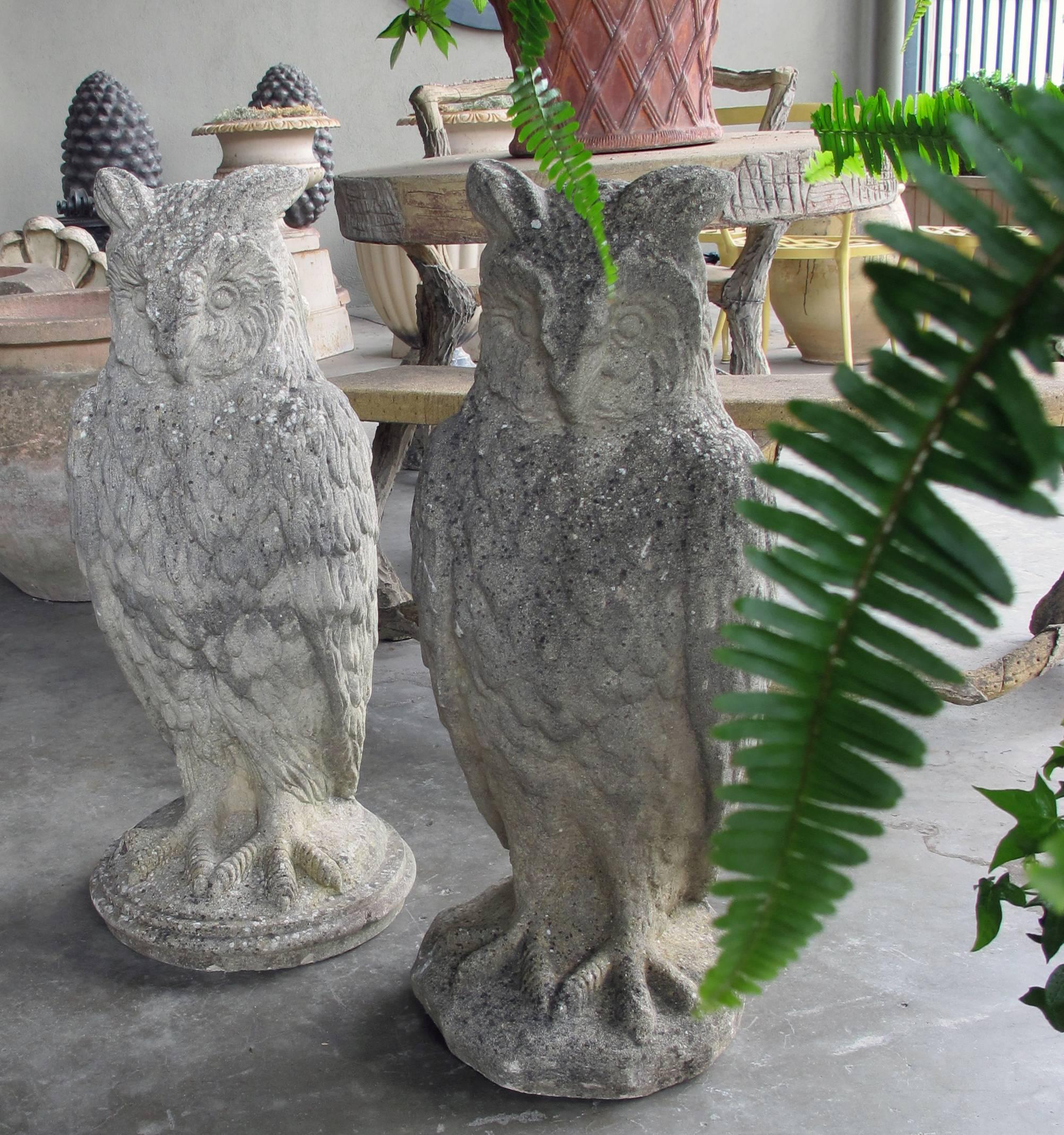A large and stoic pair of English cast stone owls; each perched owl with direct gaze and well delineated plumage resting on a circular plinth