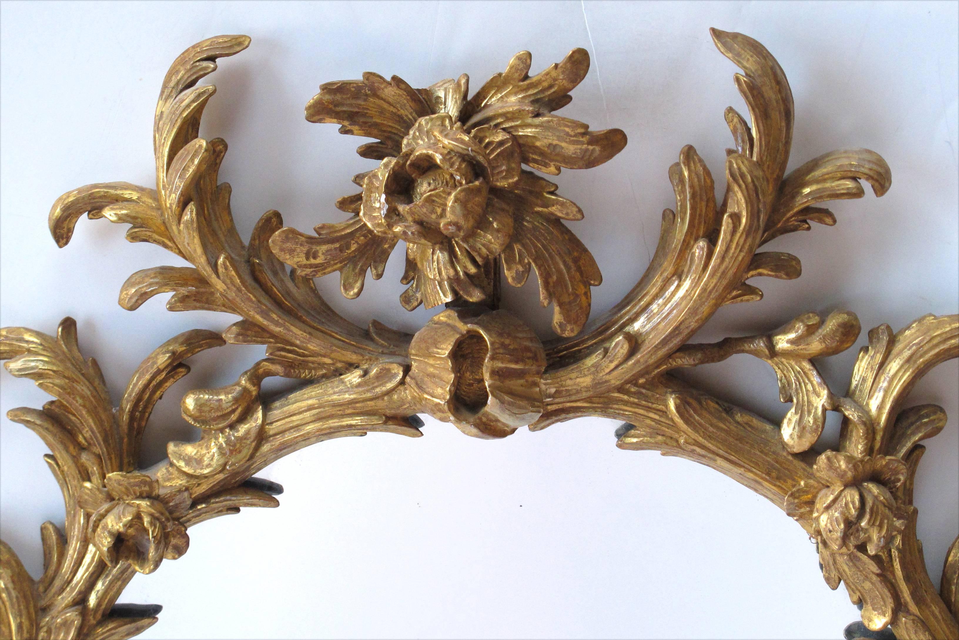 Englischer George-II-Rokoko-Spiegel aus vergoldetem Holz in guter Qualität mit Blattwerkschnitzereien im Angebot 1