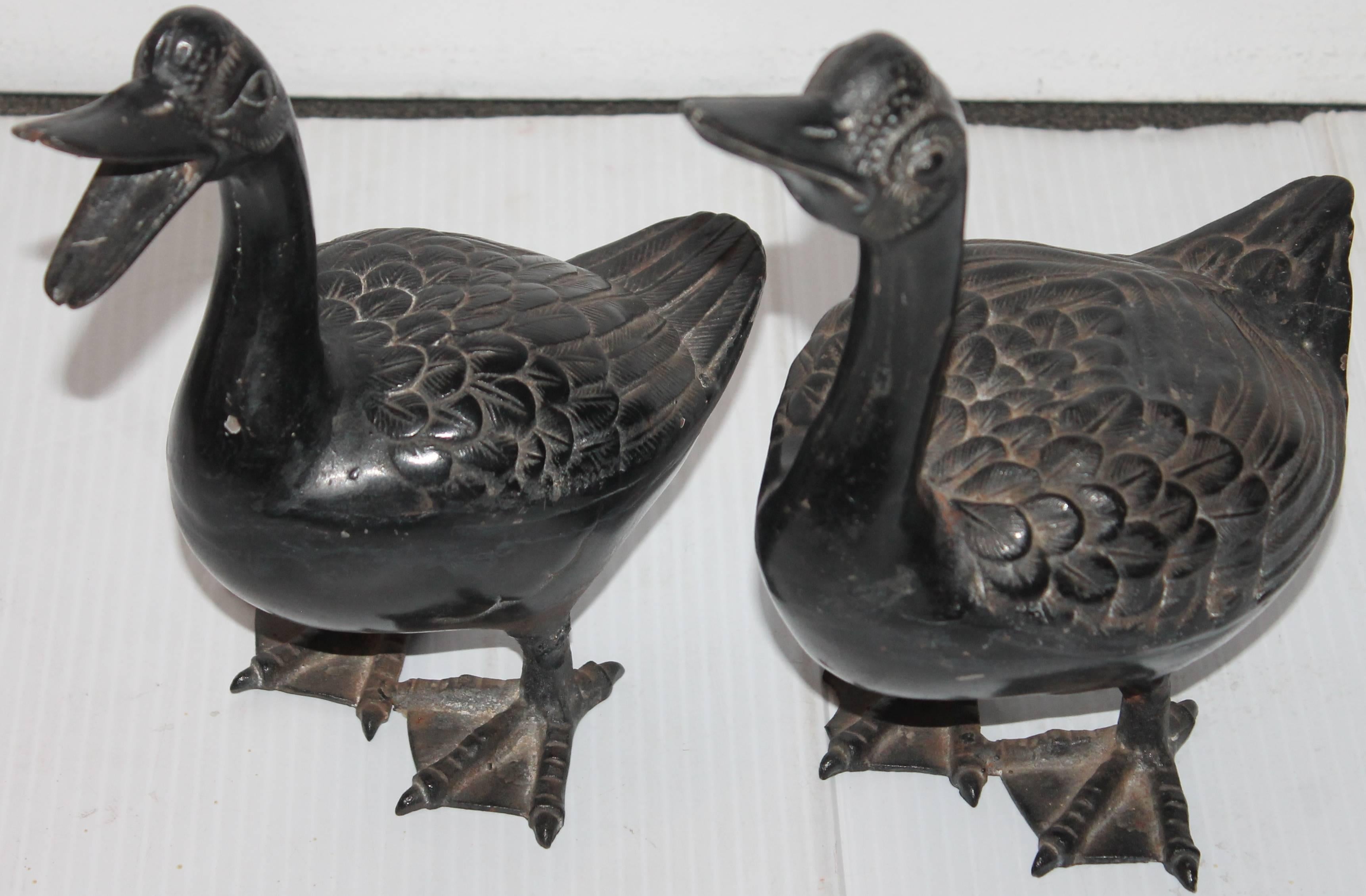 American Classical Early 20th c. Cast Iron Ducks