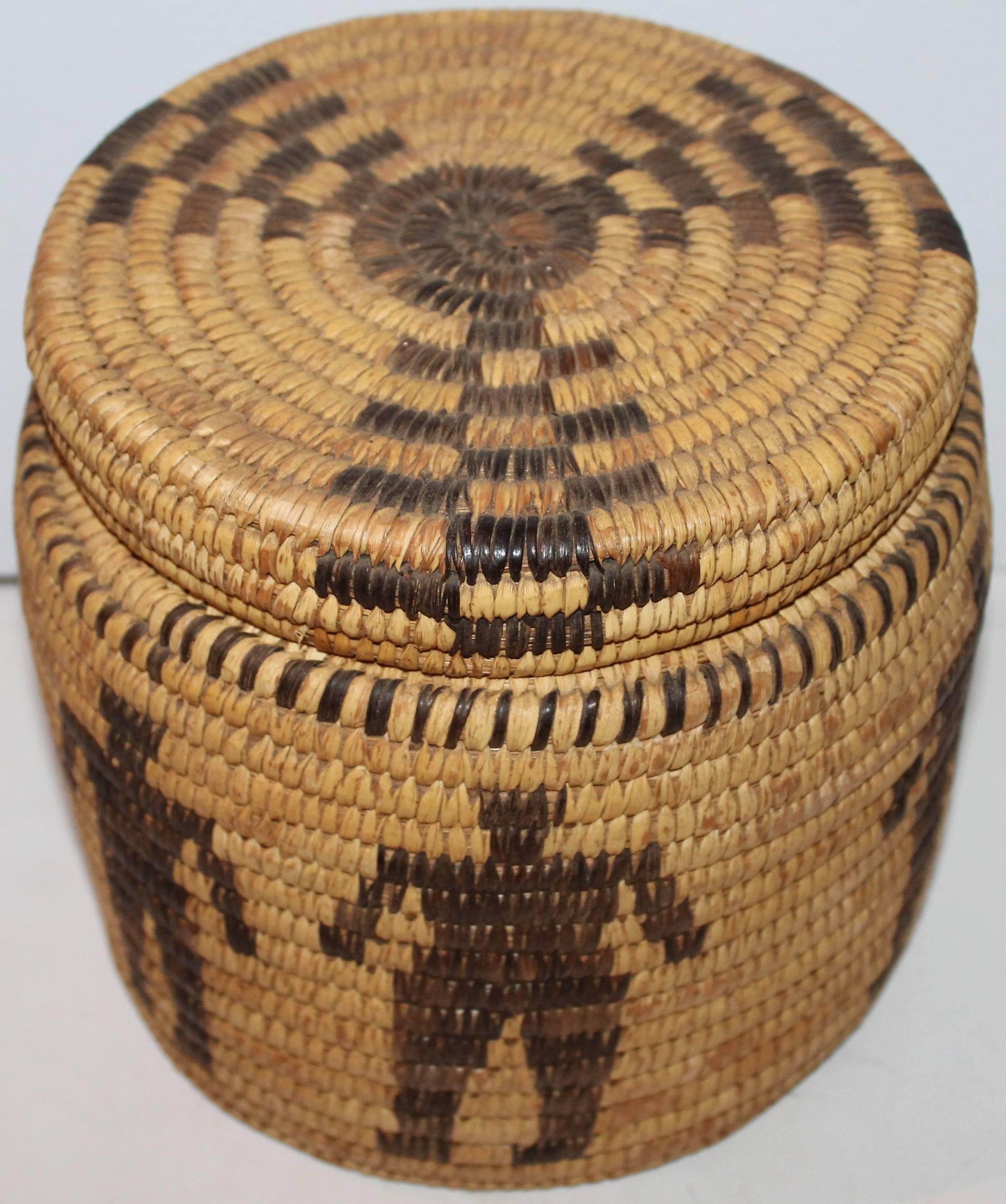 Native American Pair of Amazing Papago Indian Pictorial Baskets