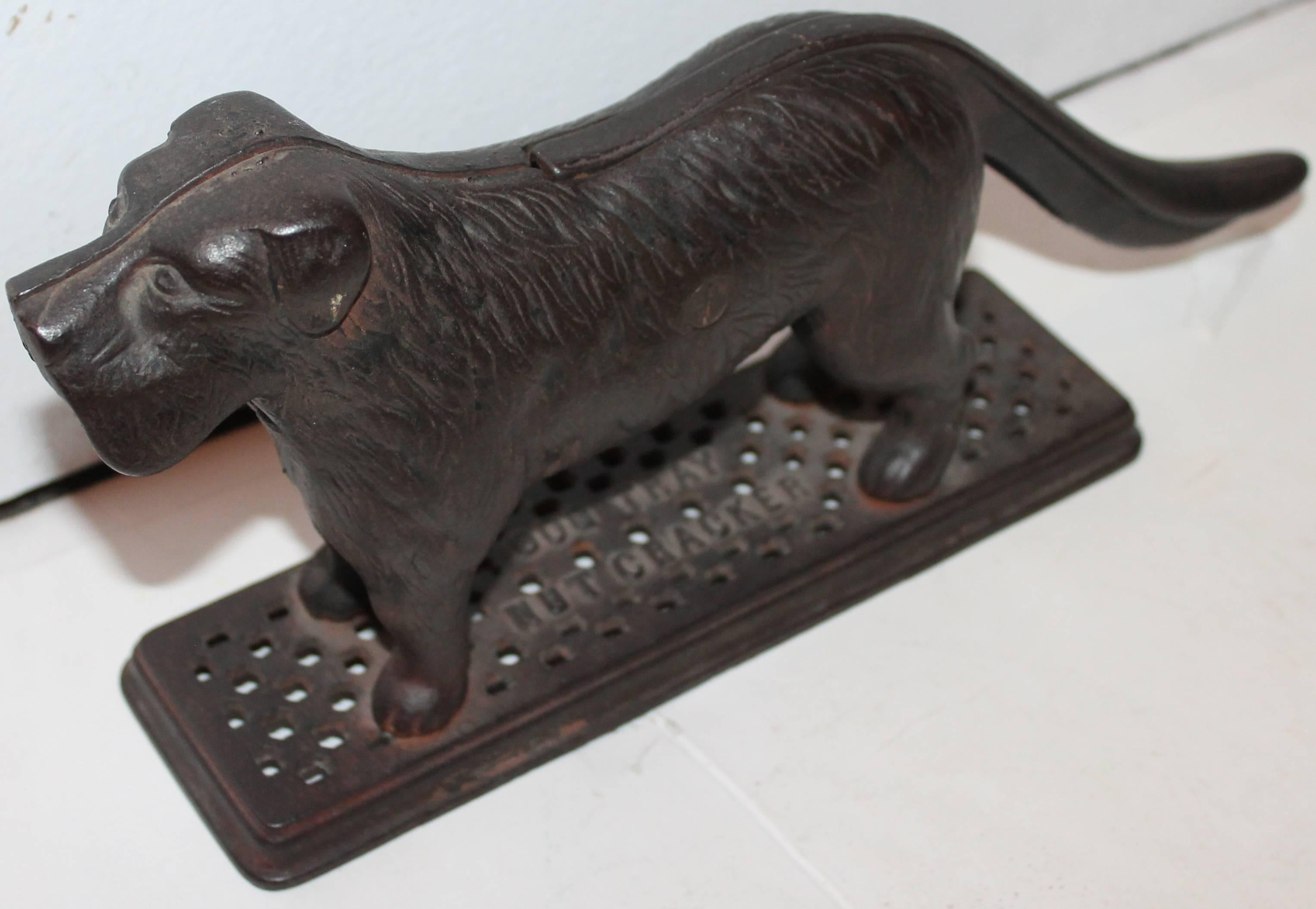 This wonderful and early original black painted dog nut cracker is signed on base 