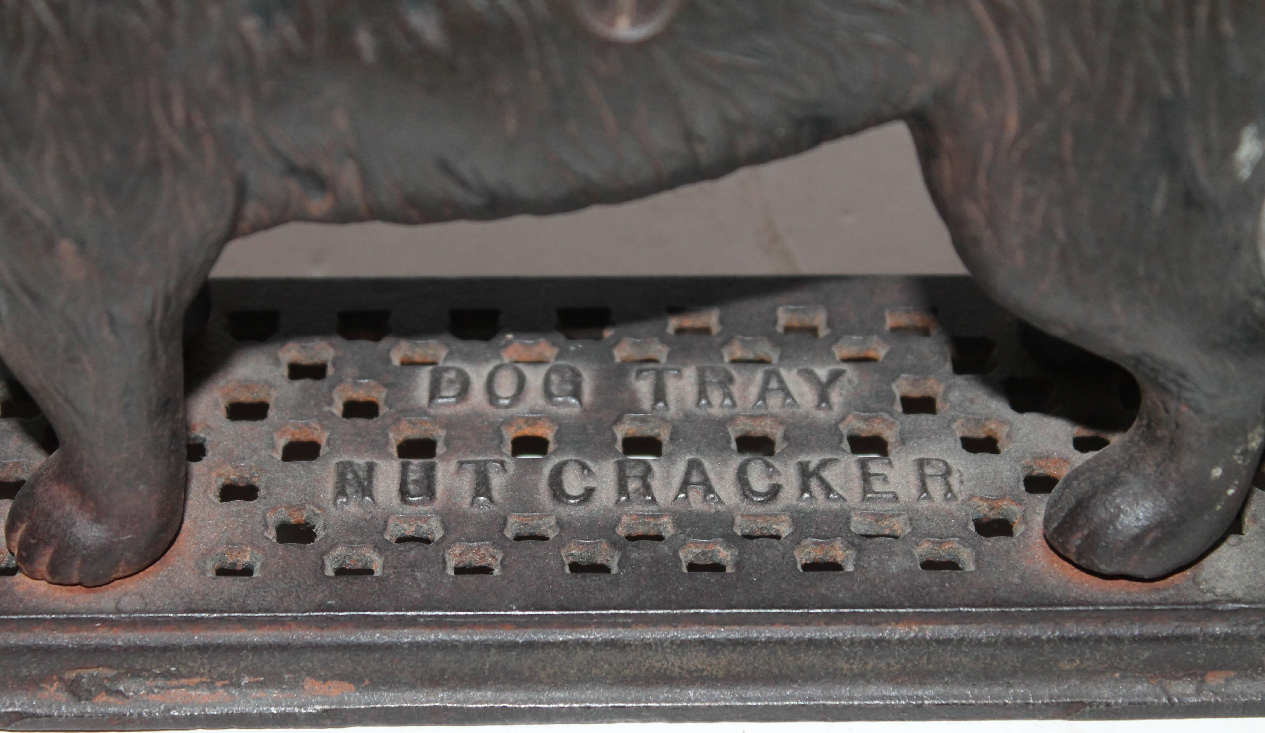 Forged Folky 19th Century Iron Dog Nut Cracker in Original Surface
