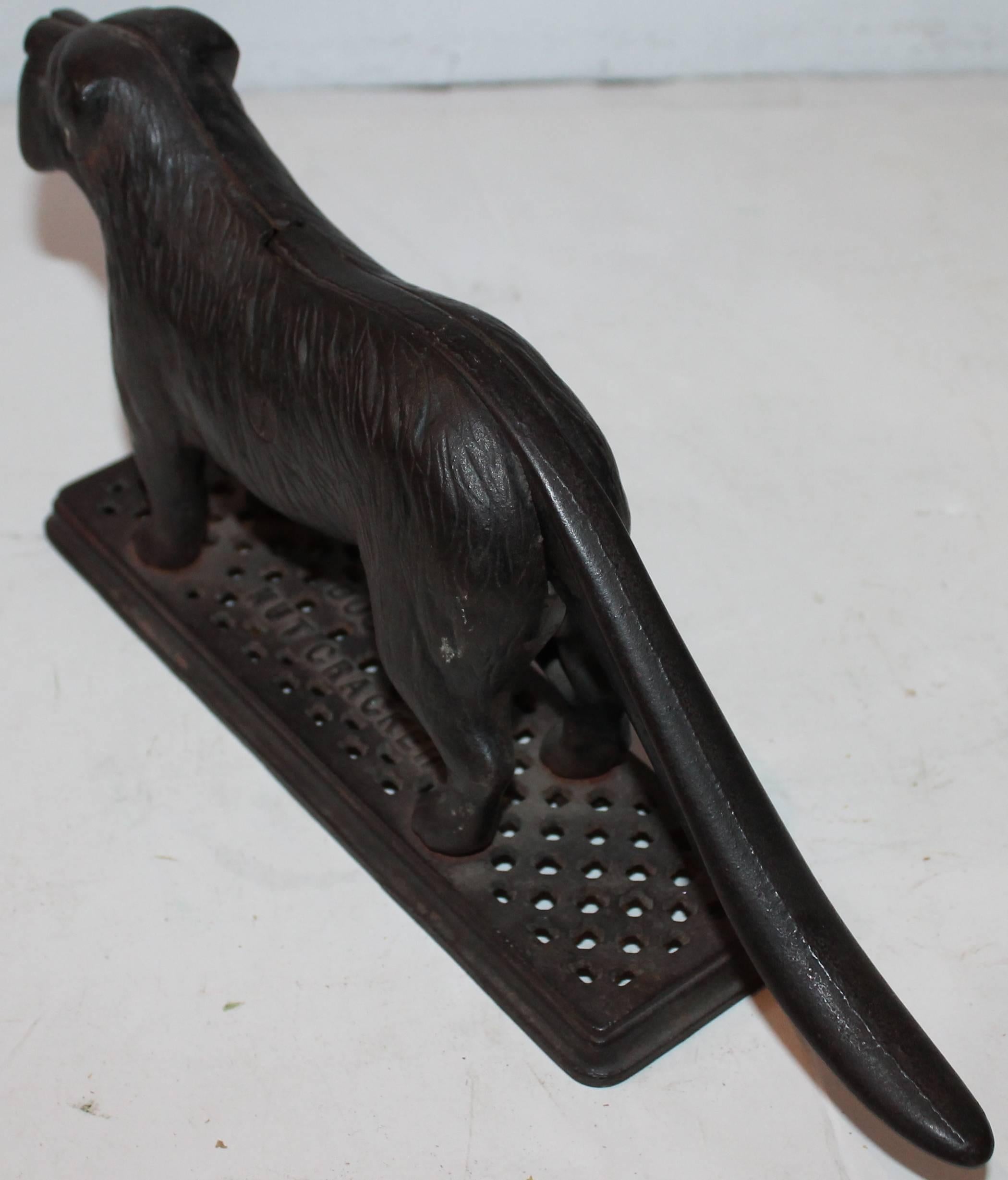 Folky 19th Century Iron Dog Nut Cracker in Original Surface 1