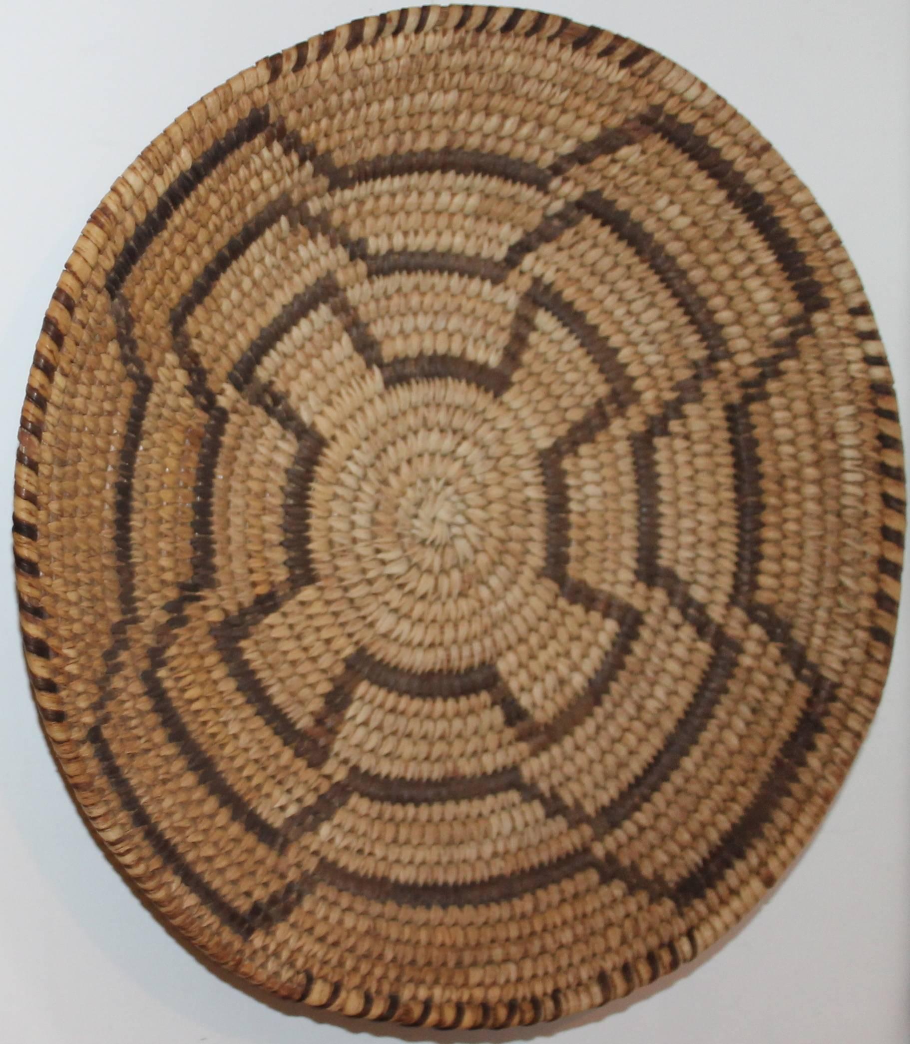 American Collection of Four Papago & Pima  Indian Baskets For Sale