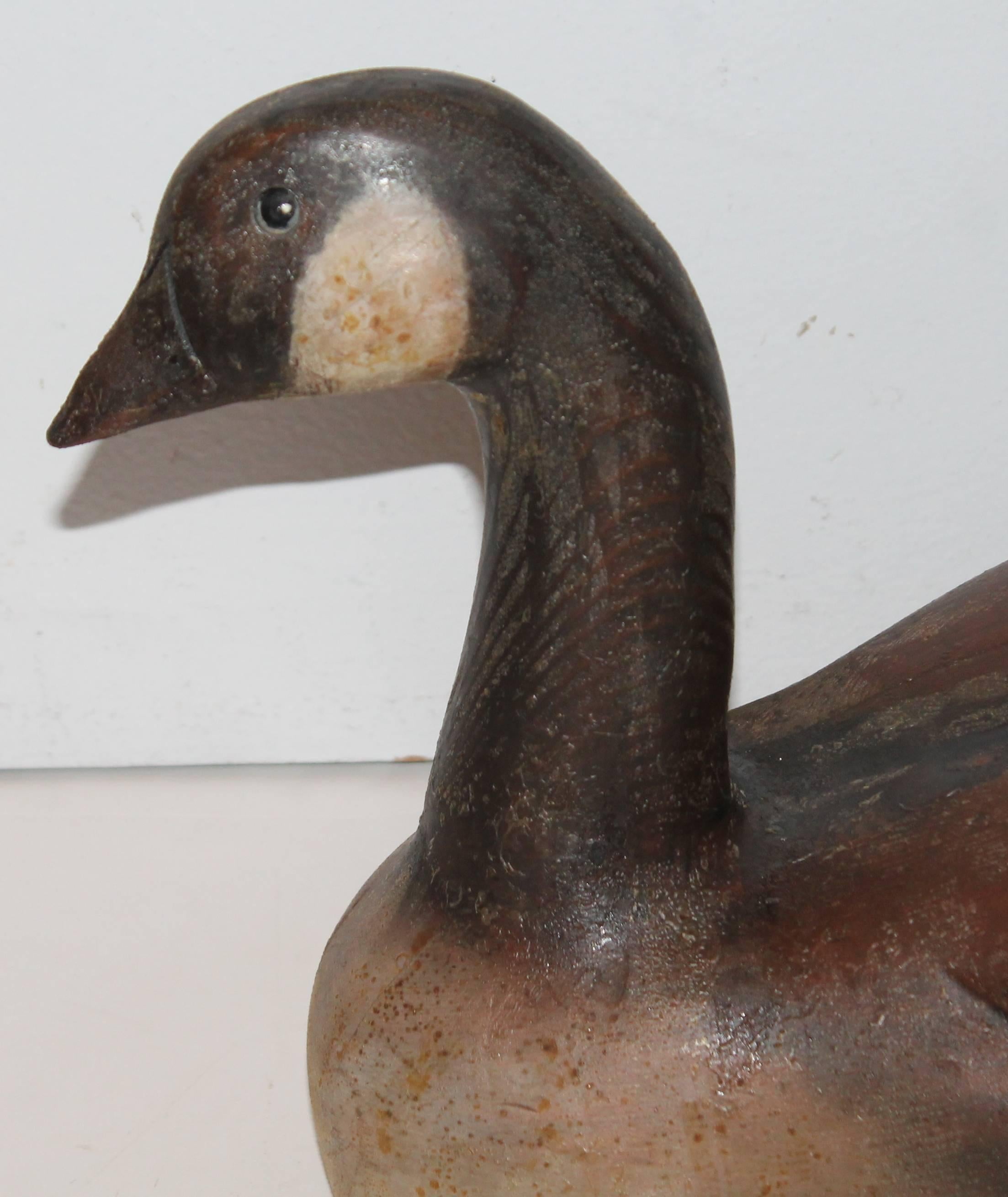 Painted Monumental Canadian Goose in Original Surface