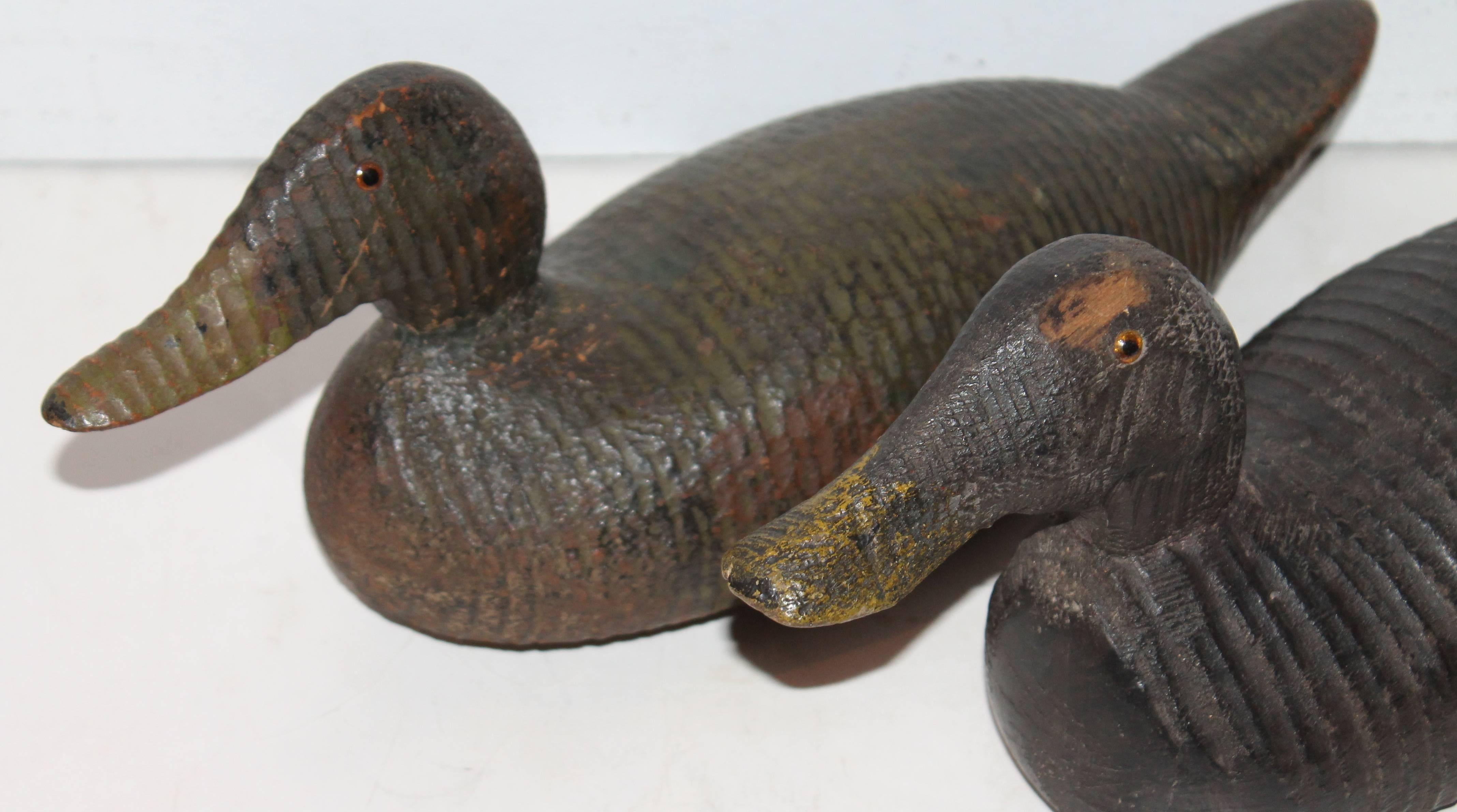 These two decoys look like they were made by the same hand. Each decoy is 15 long x 7 high x 6 wide. The condition are very good and the painted surface is the best.