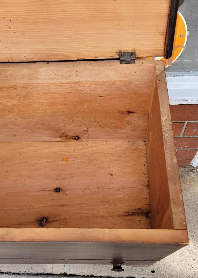 19. Jh. Originale, bemalte, große Deckentruhe (amerikanisch) im Angebot