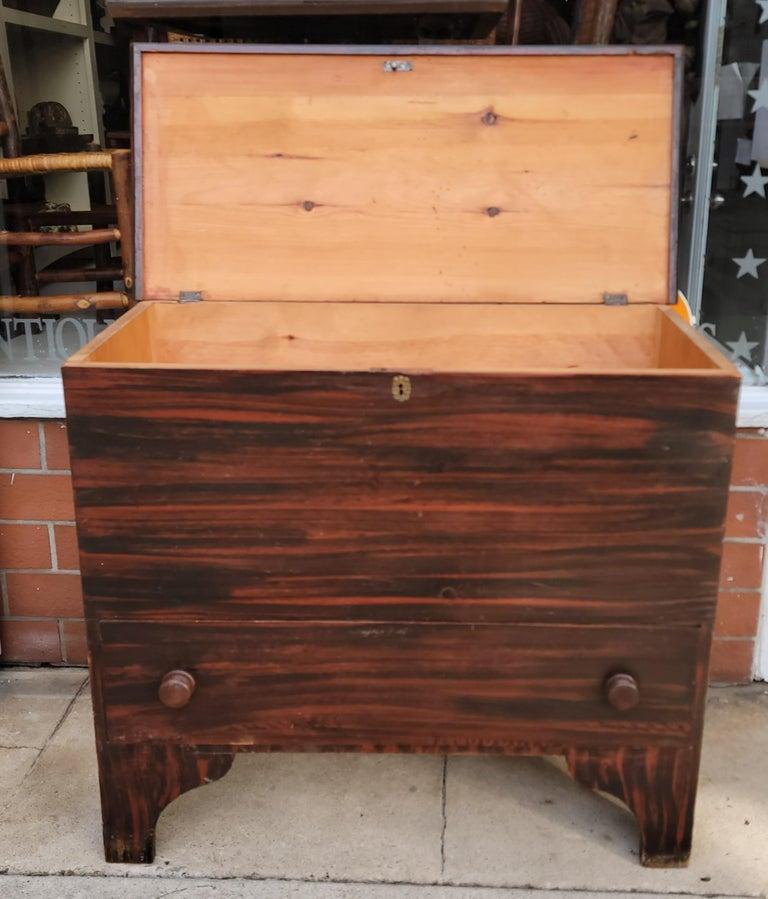 19. Jh. Originale, bemalte, große Deckentruhe (Adirondack) im Angebot