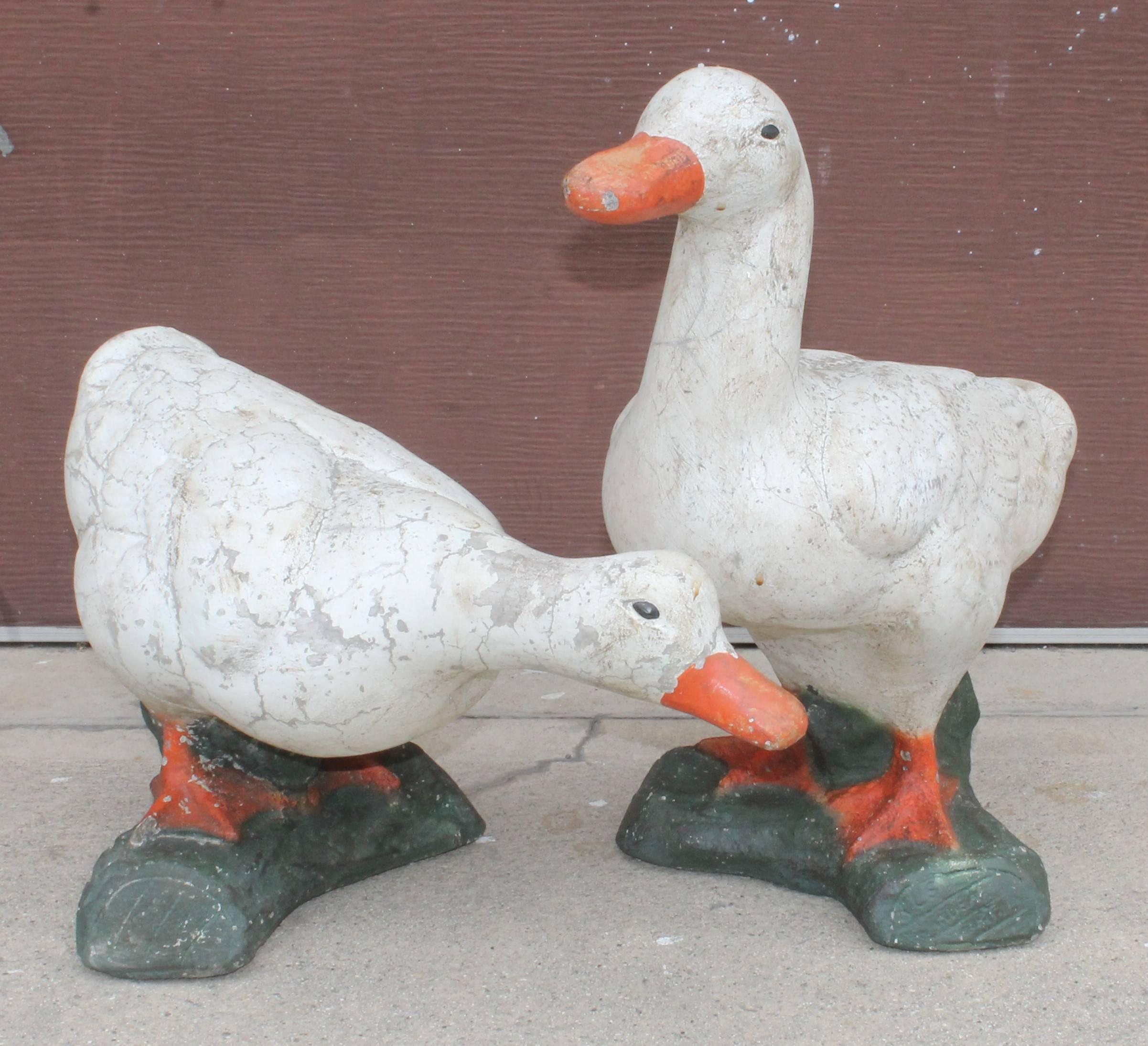 This pair of heavy monumental concrete garden ducks were found in Pennsylvania on a farm lot. The condition is good with minor crazing in paint consistent with age and use.