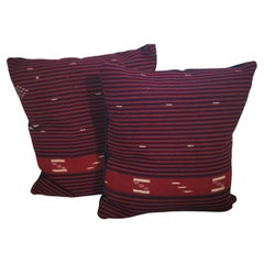 Striped Mexican Indian Horse pillows