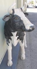 Monumental Full Body Dairy Farm Cow Trade Sign