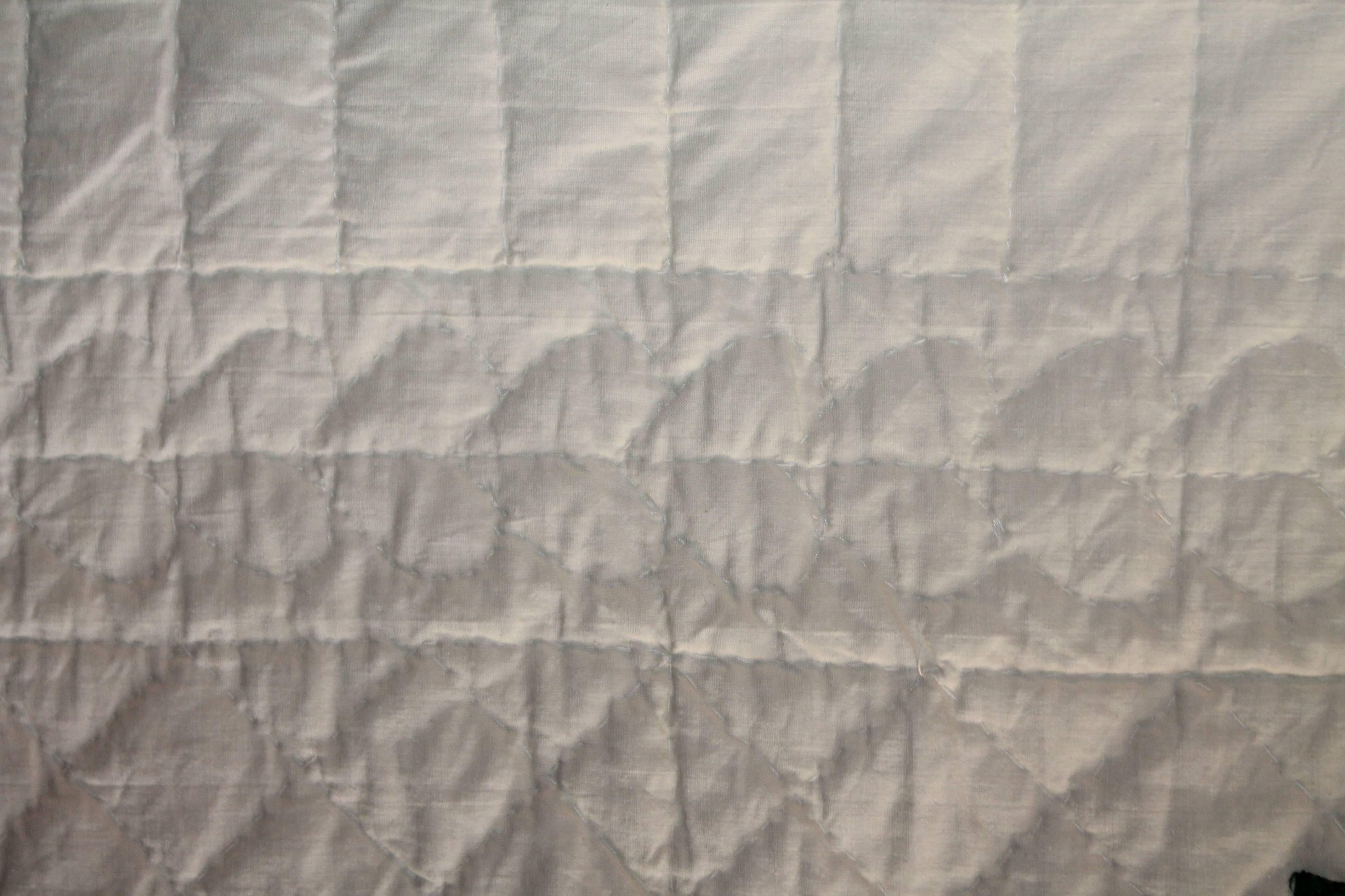 Cotton Amazing  Pennsylvania Applique and Embroidered Album Quilt
