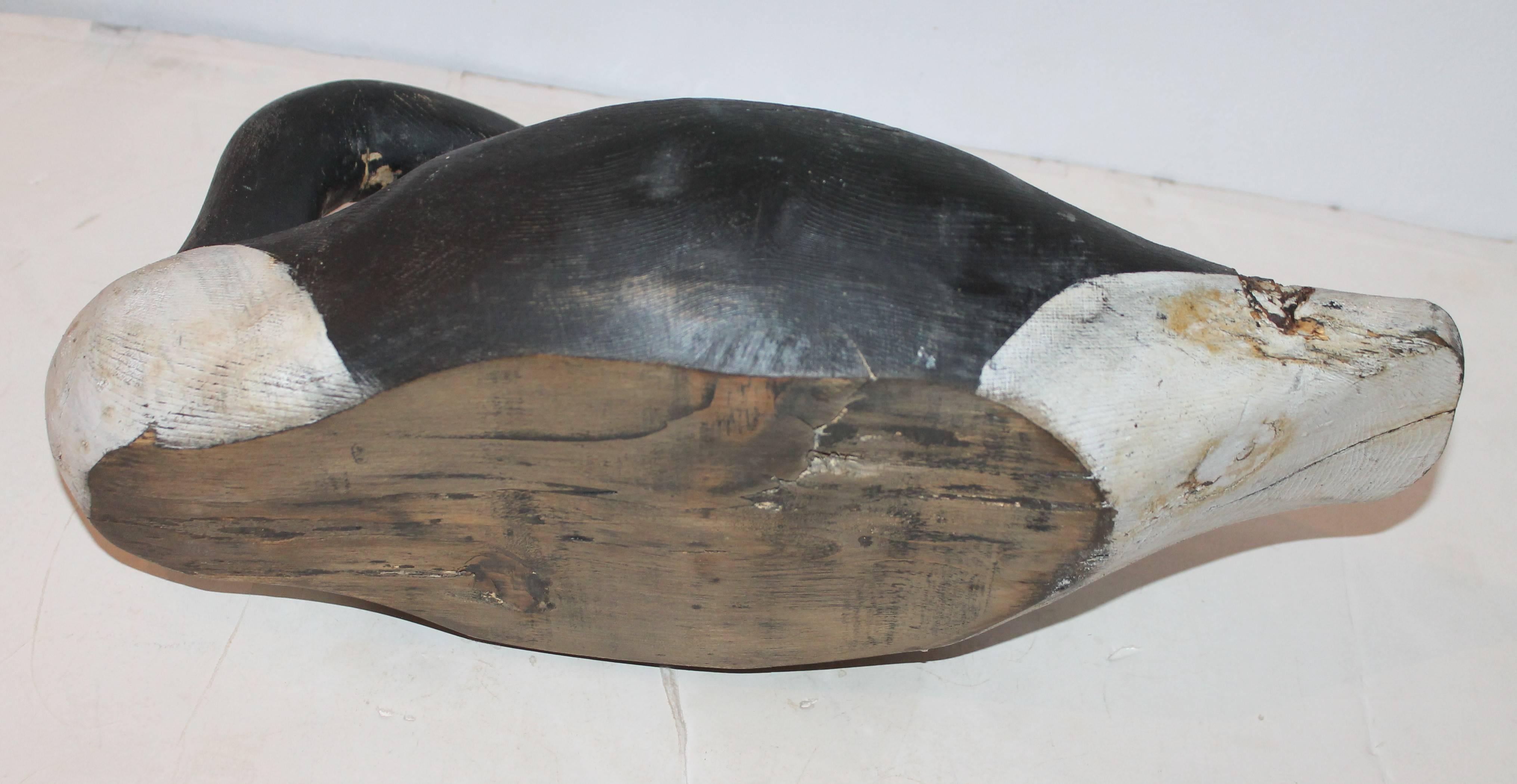 Late 19th Century Canadian Goose Decoy In Distressed Condition In Los Angeles, CA