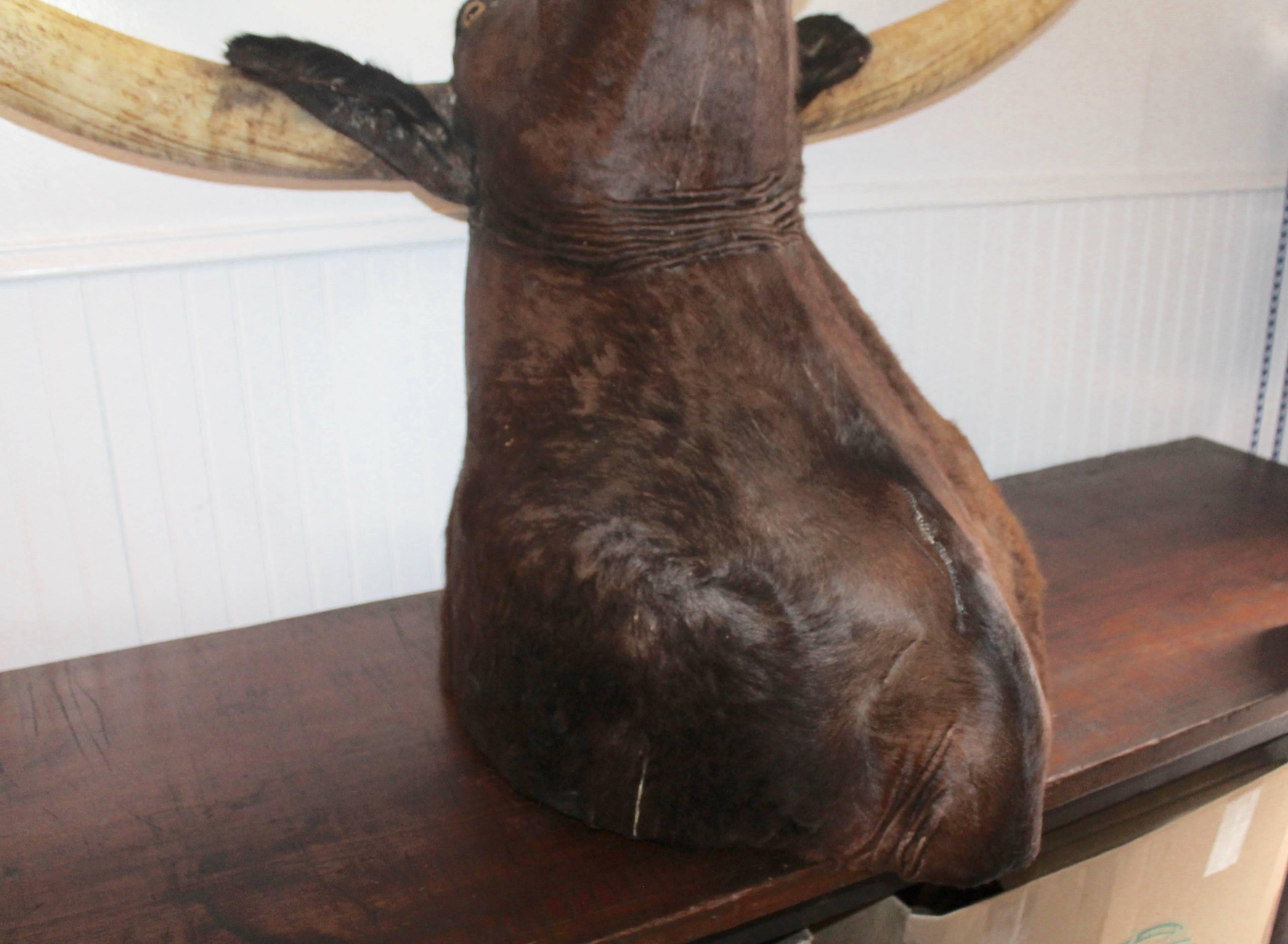 Monumentaler texanischer Longhorn-S Bull, Monumental (Adirondack) im Angebot