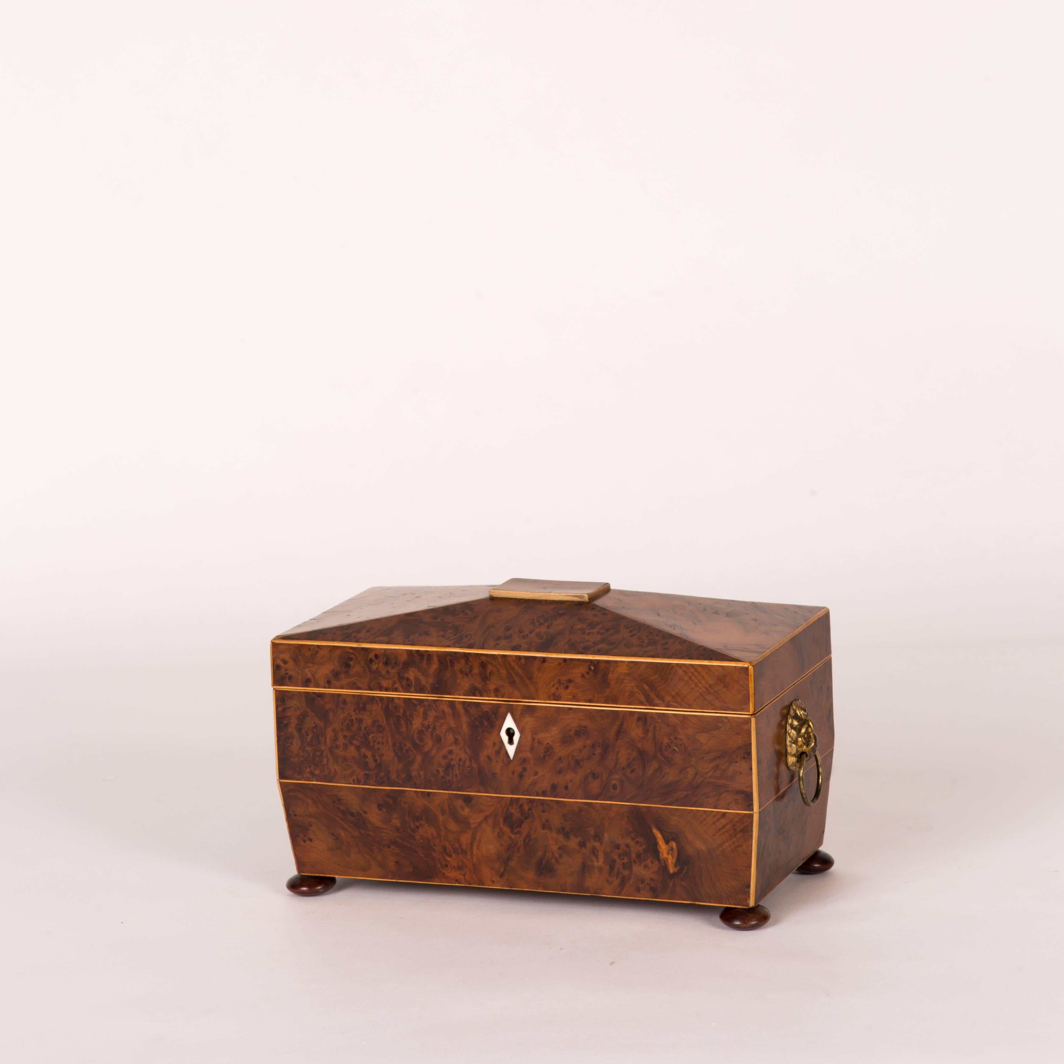 Late 19th century yew wood tea caddy box from England on round feet. Box has three compartments: two rectangular storage spaces with flip open tops and one circular opening with red velvet base. 