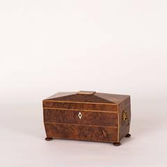 Mid-19th Century Yew Wood Tea Caddy Box from England