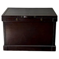 Painted Chest