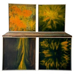 Paintings by Lucien Beniere