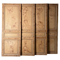Late 19th Century Set of Four Faux Painted Wood Panels from France