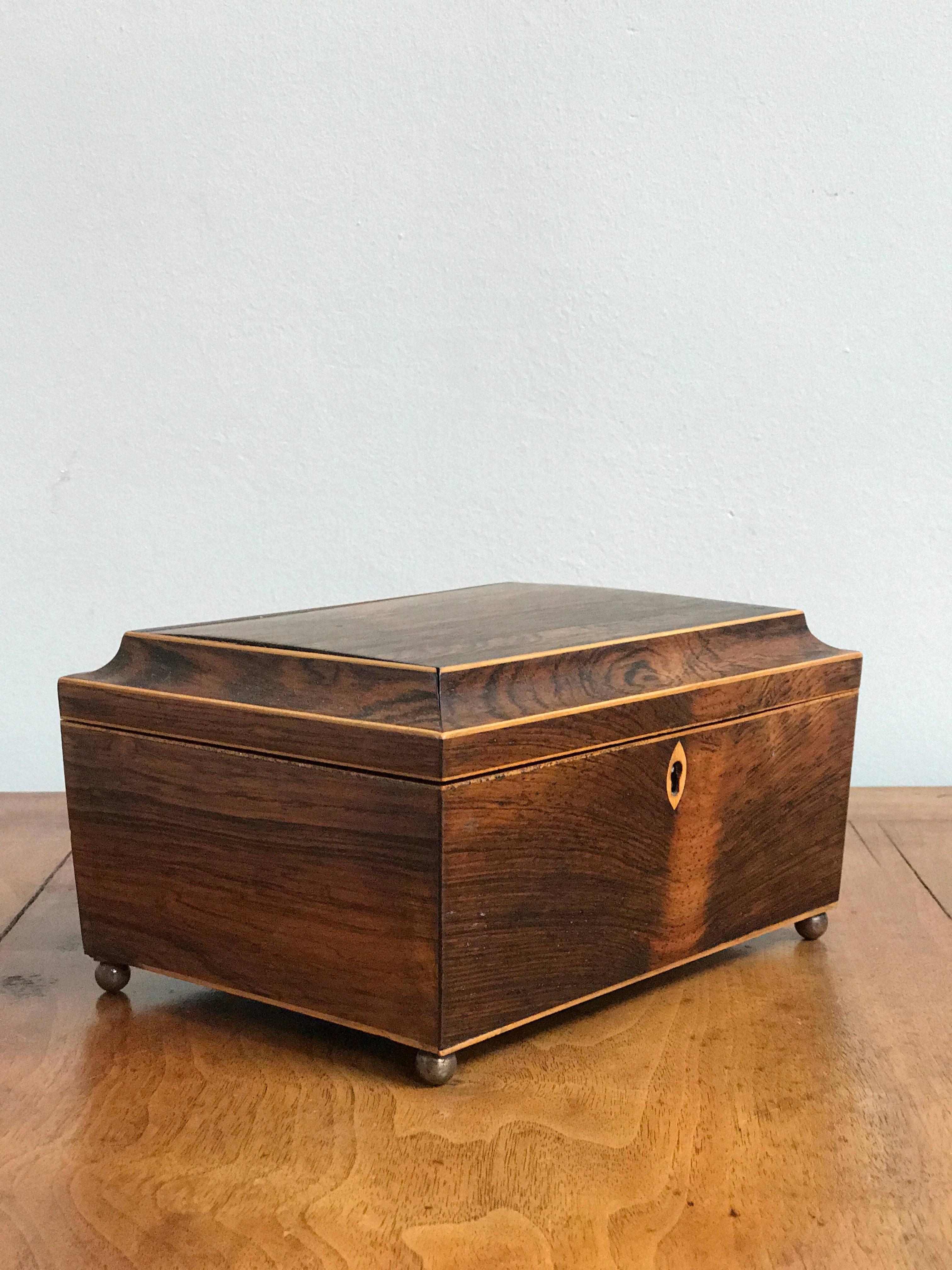 Georgian 1820s Rosewood Casket Box from England 