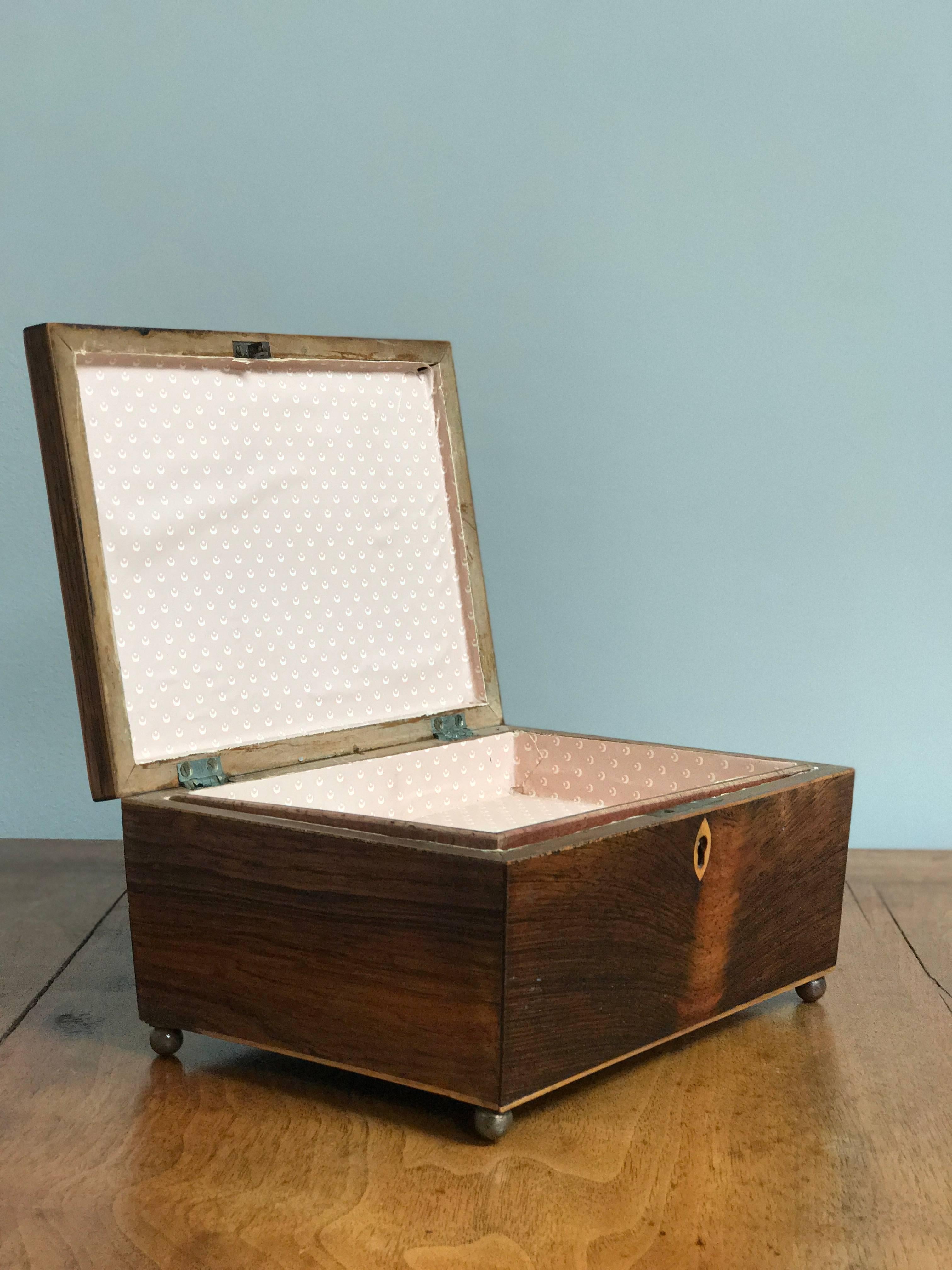 English 1820s Rosewood Casket Box from England 