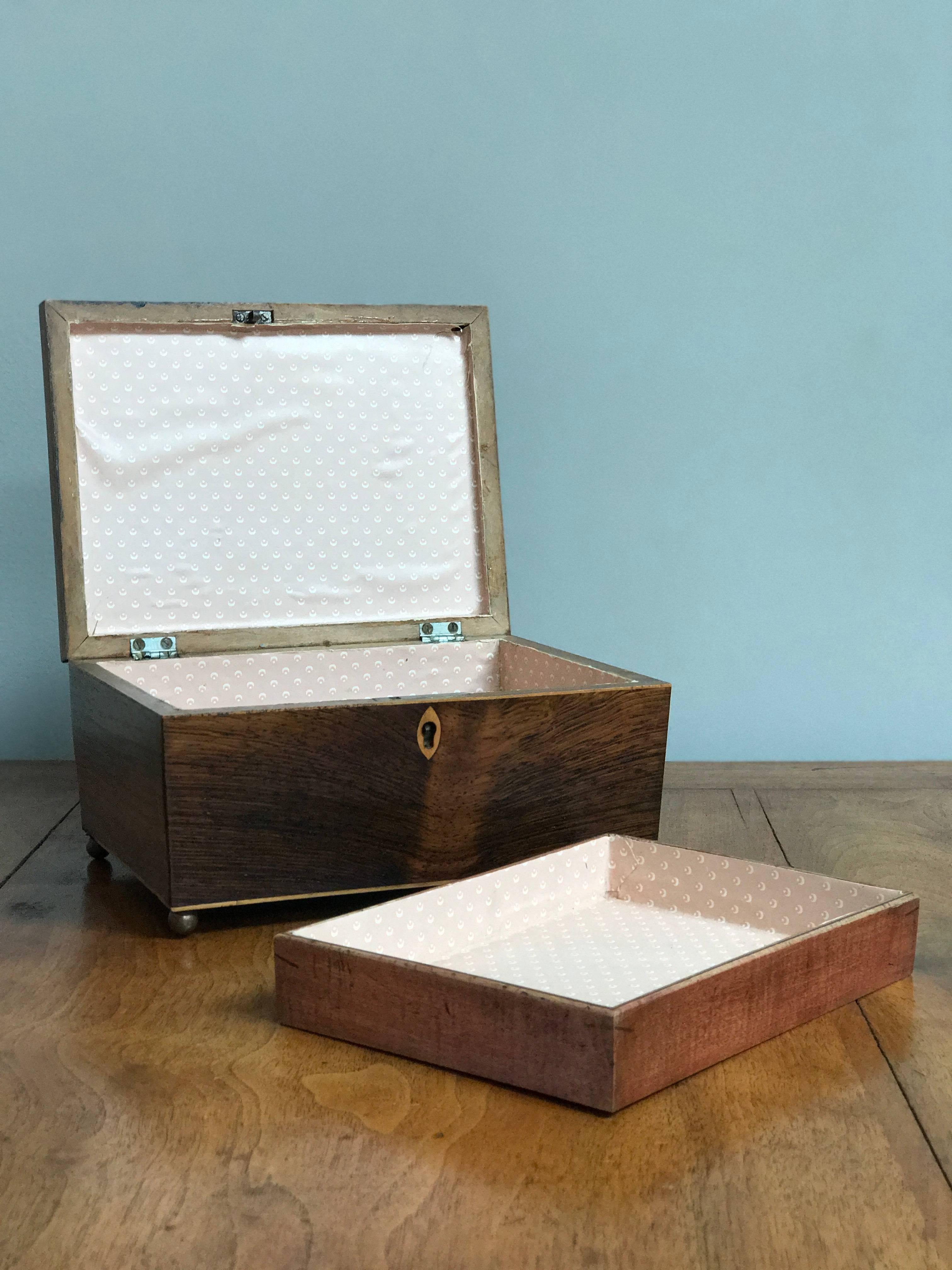 1820s Rosewood Casket Box from England  In Good Condition In Los Angeles, CA