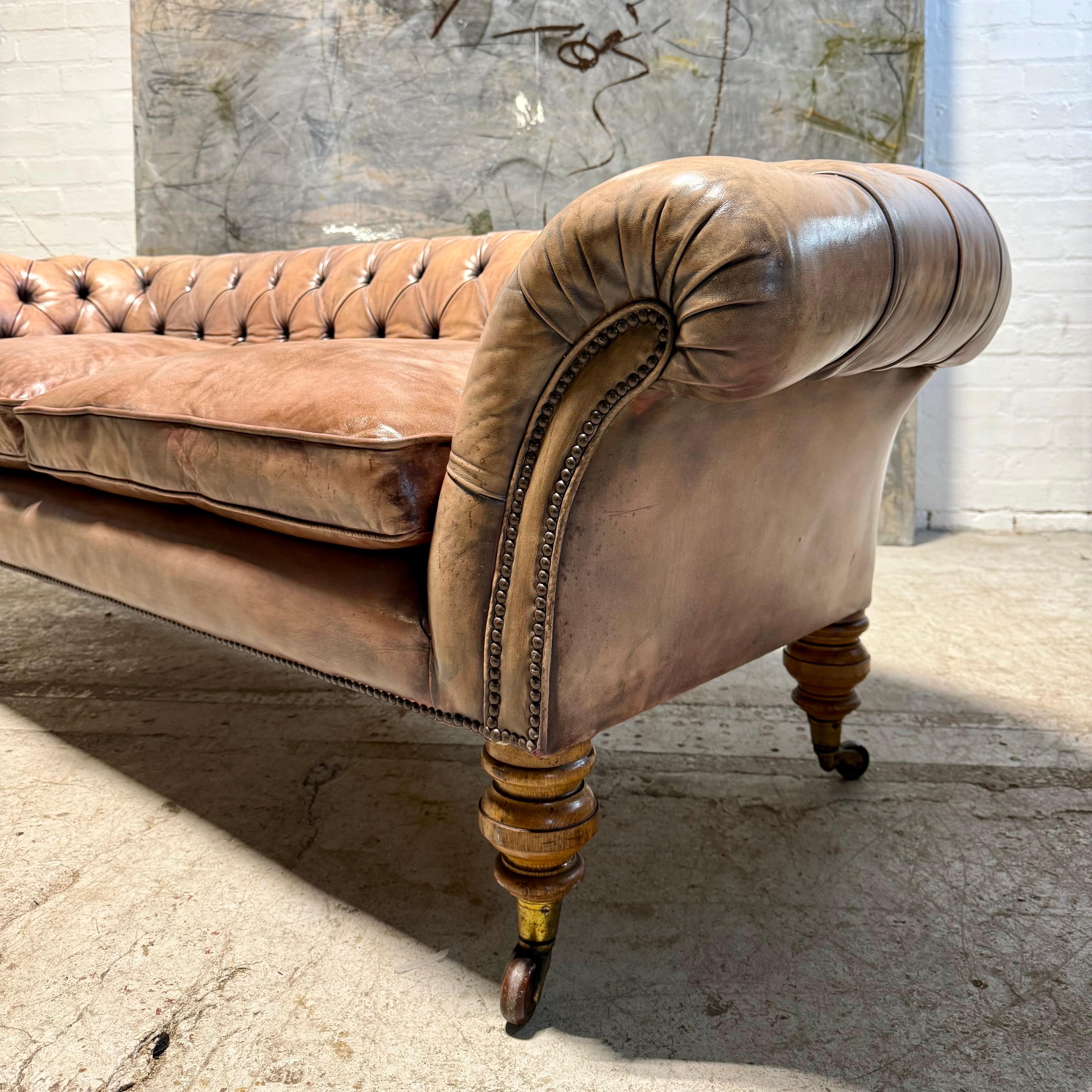 Canapé Chesterfield ancien du 19ème siècle en cuir parchemin teint à la main en vente 1