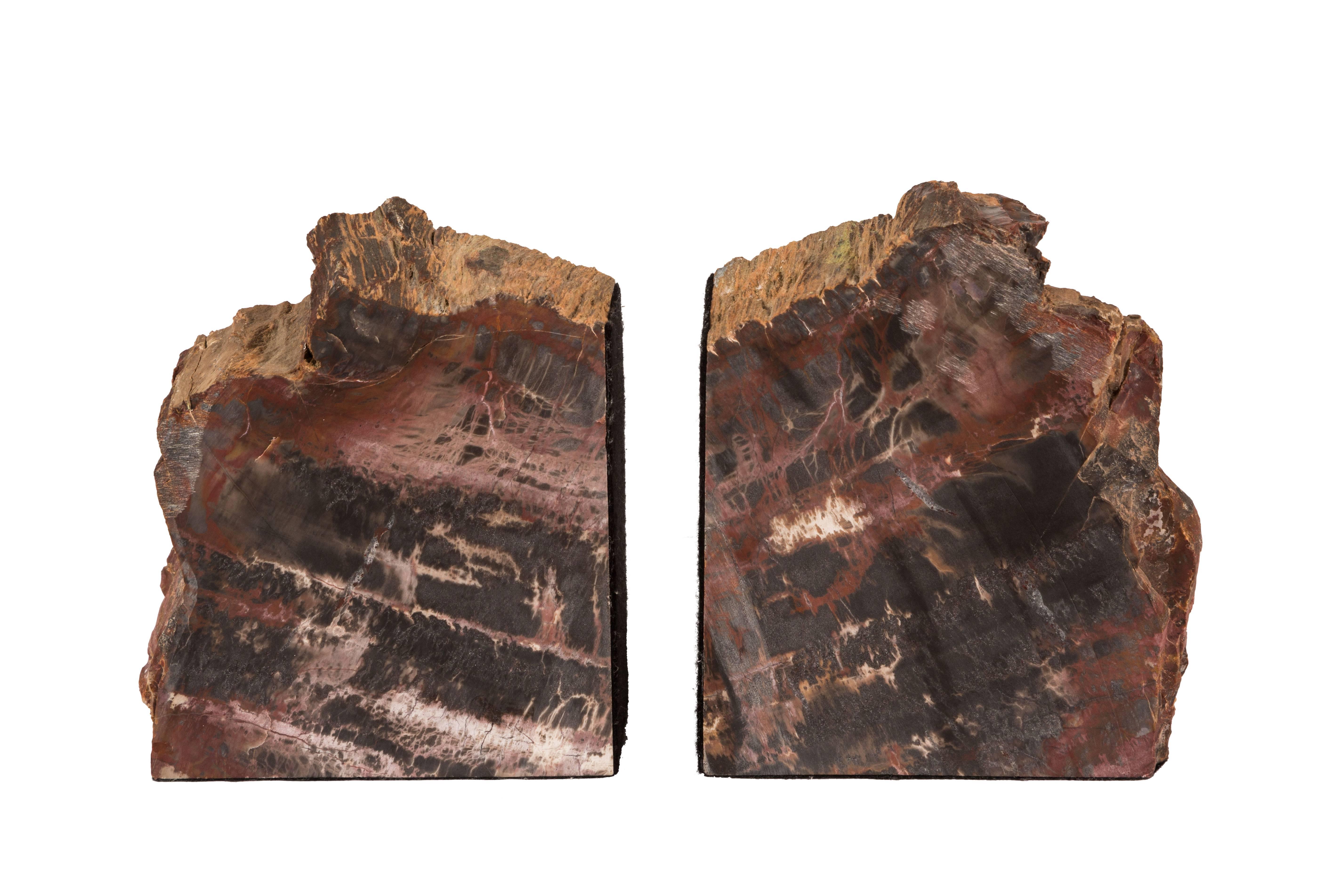 Wonderful pair of bookends of cut and polished petrified wood. Felted bottoms.