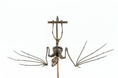 Unusual Bronze Bat Skeleton Sculpture