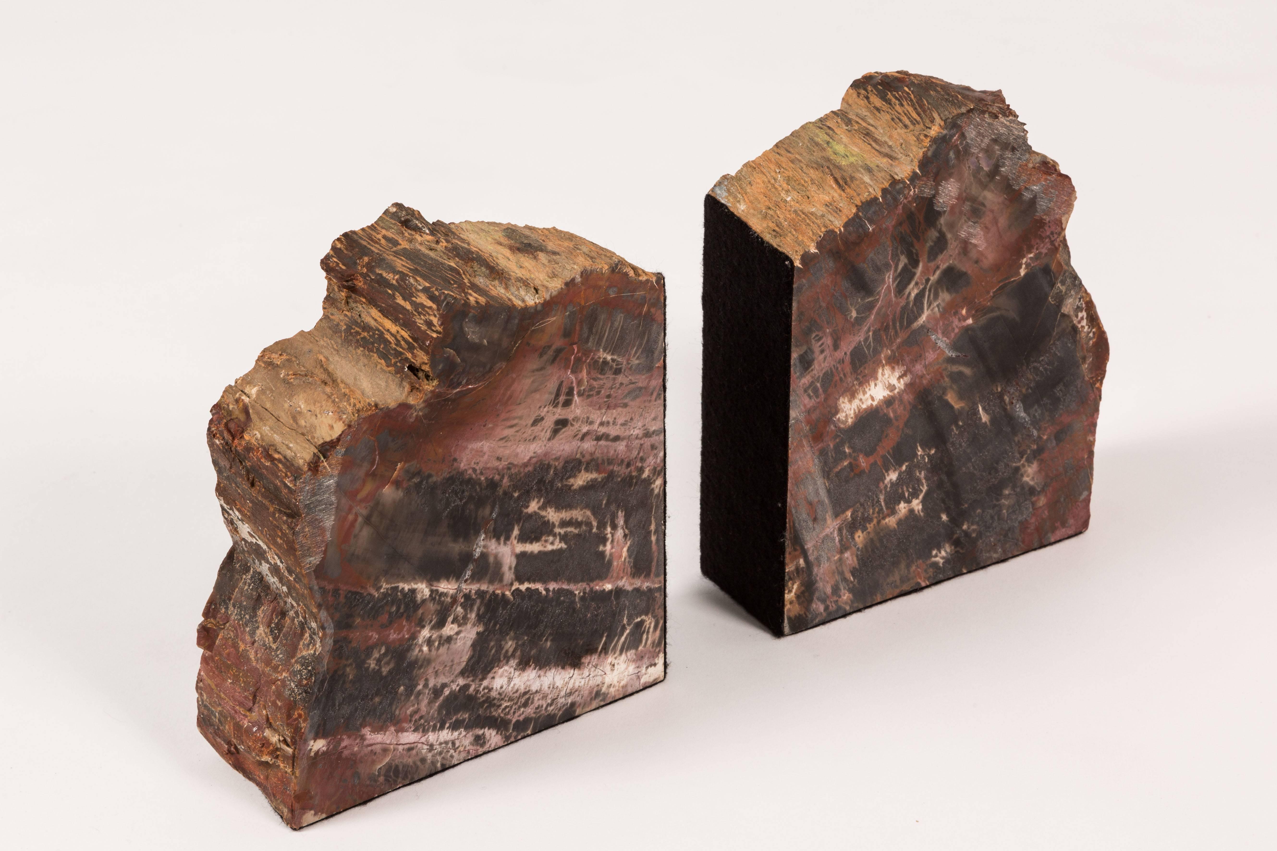 American Pair of Petrified Wood Bookends
