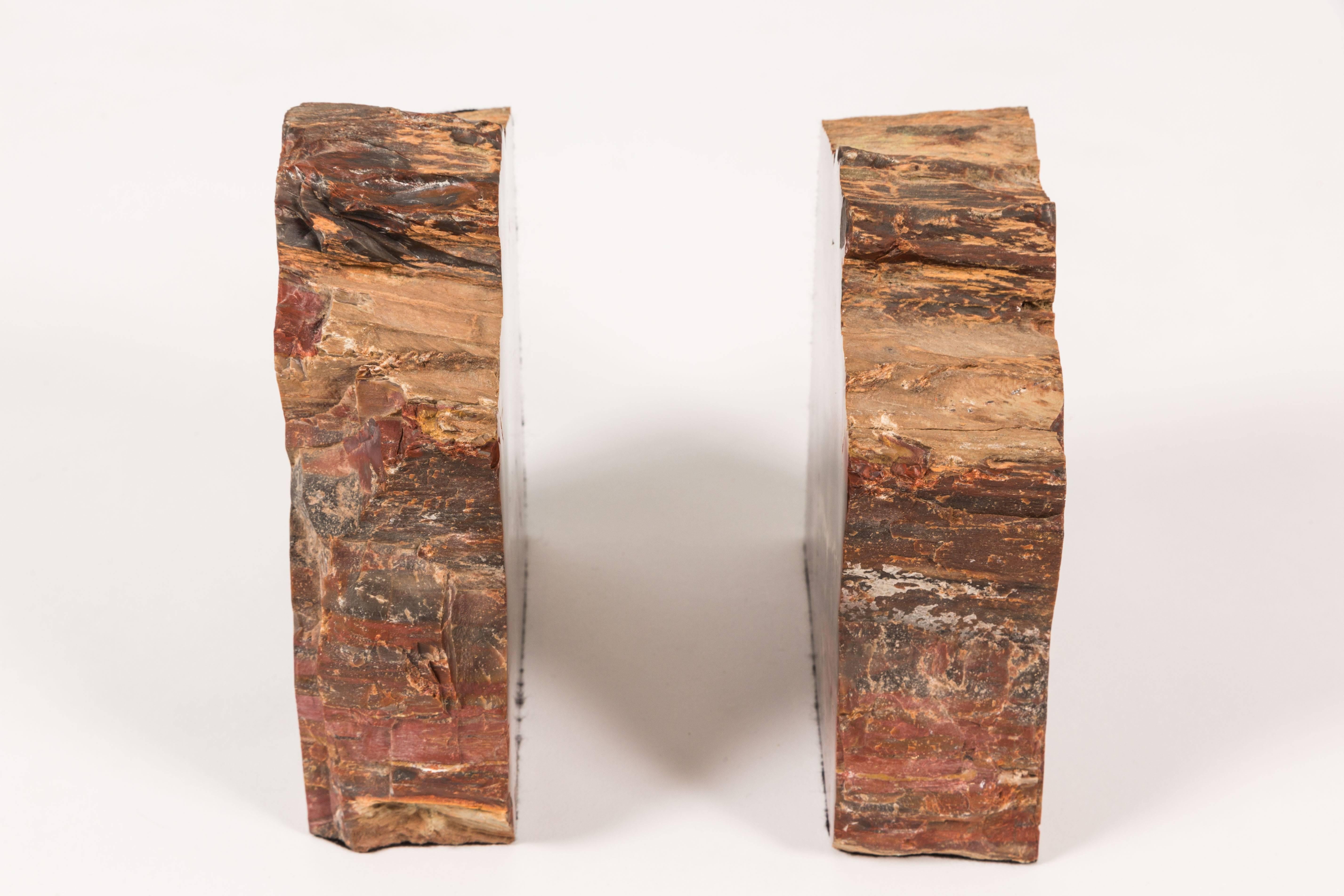 Polished Pair of Petrified Wood Bookends