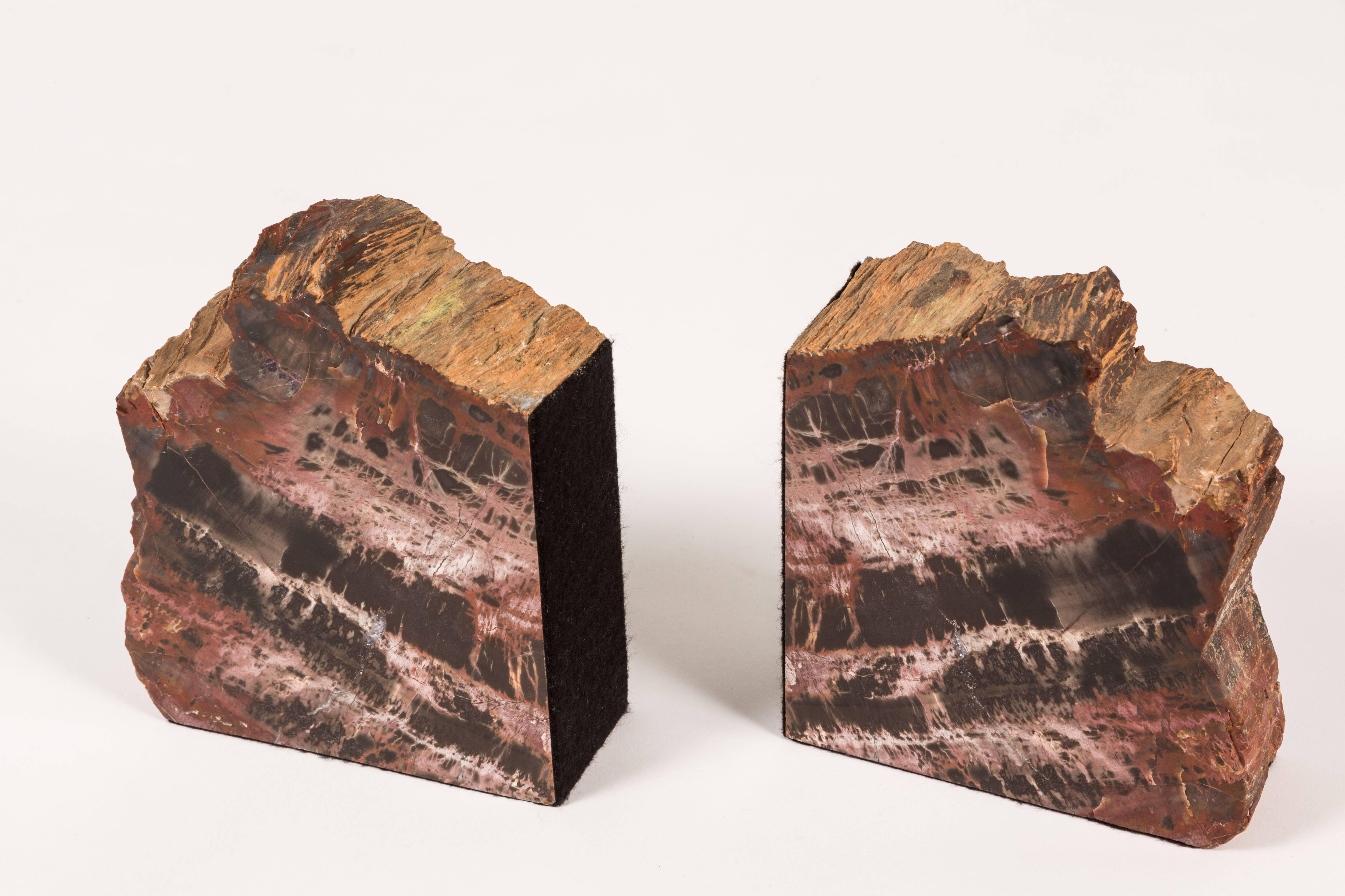 Pair of Petrified Wood Bookends In Good Condition In Palm Desert, CA