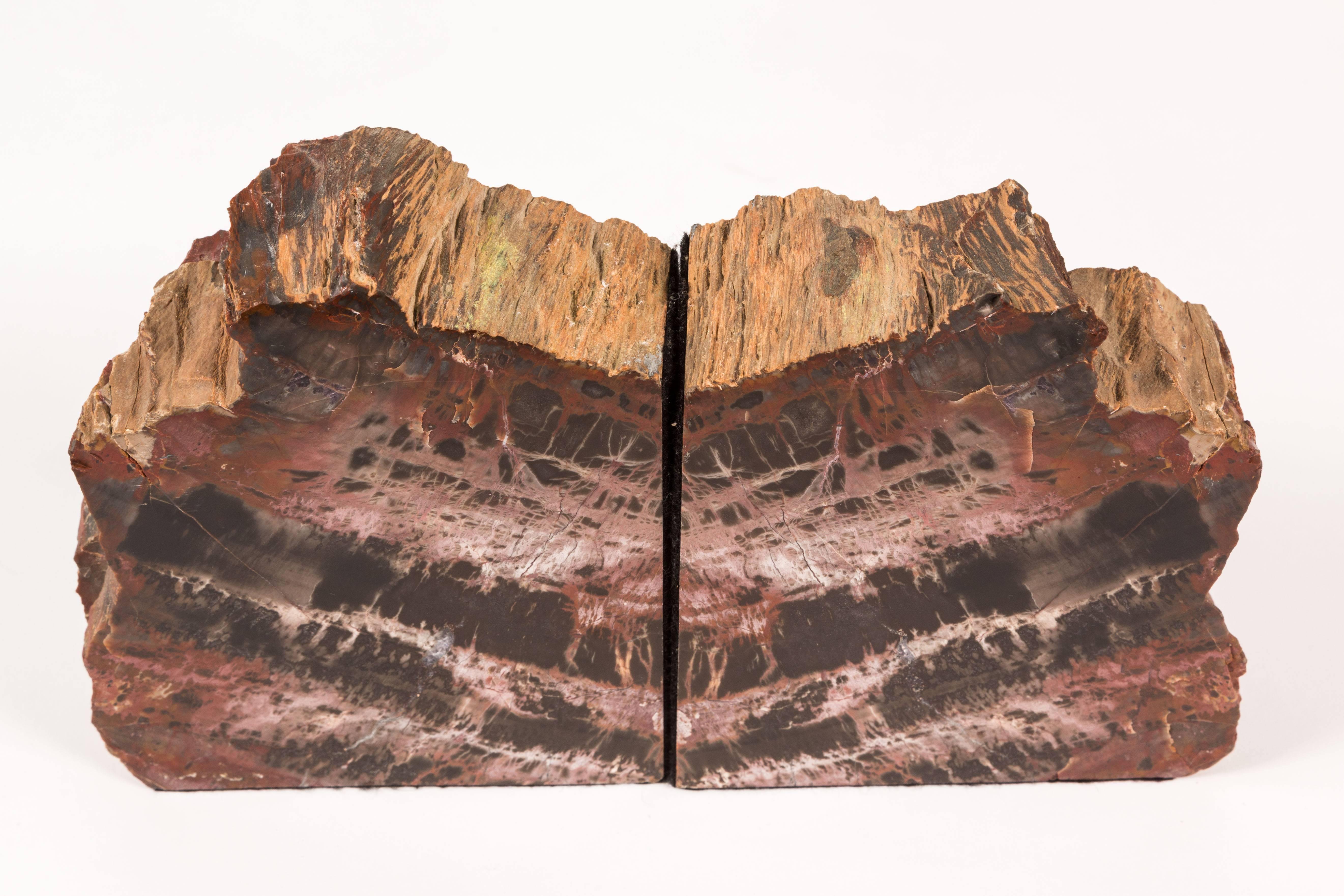 Late 20th Century Pair of Petrified Wood Bookends