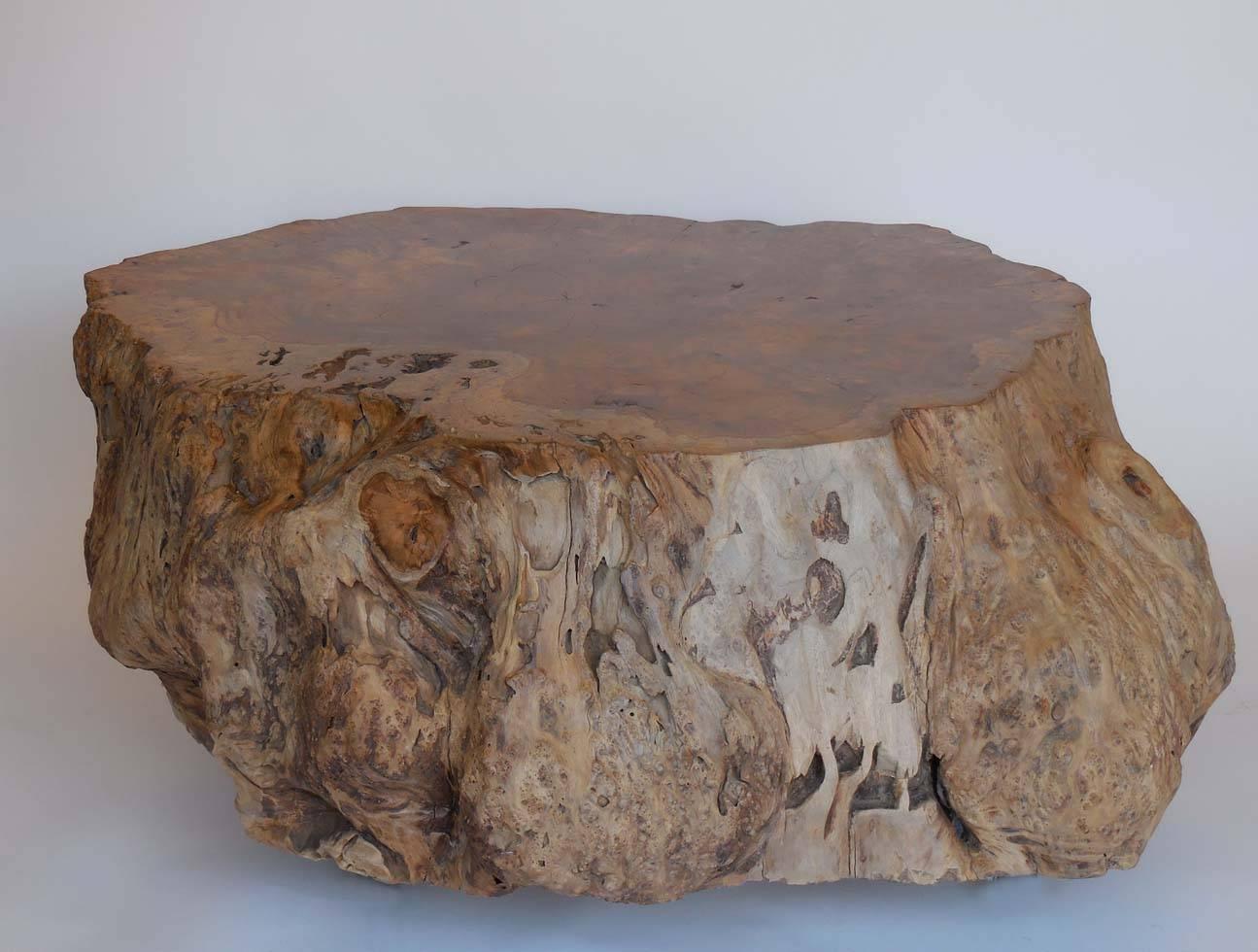 Balinese Large-Scale Teak Root Table
